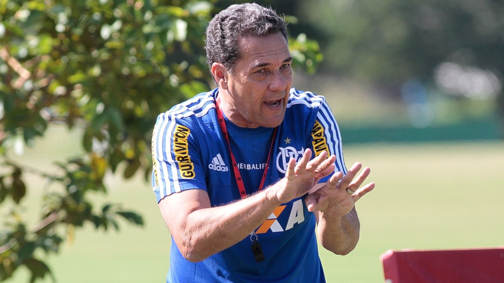 Vanderlei Luxemburgo Flamengo 22 05 15