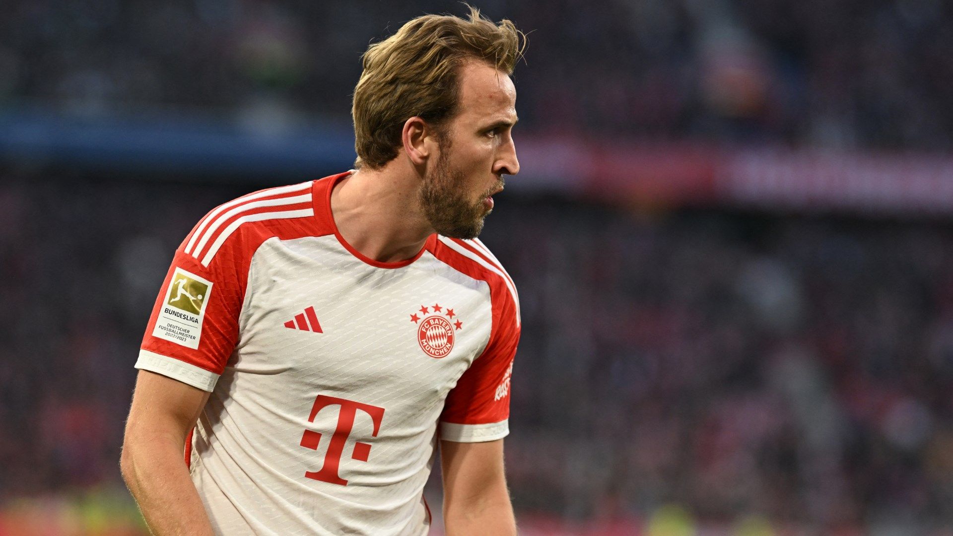 Harry Kane Bayern 2023-24