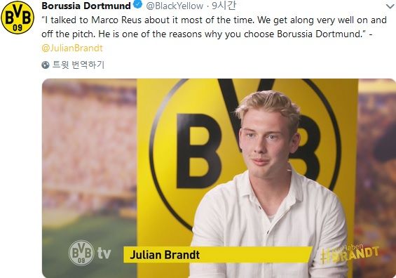 Julian Brandt