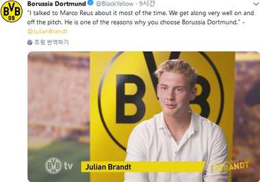 Julian Brandt