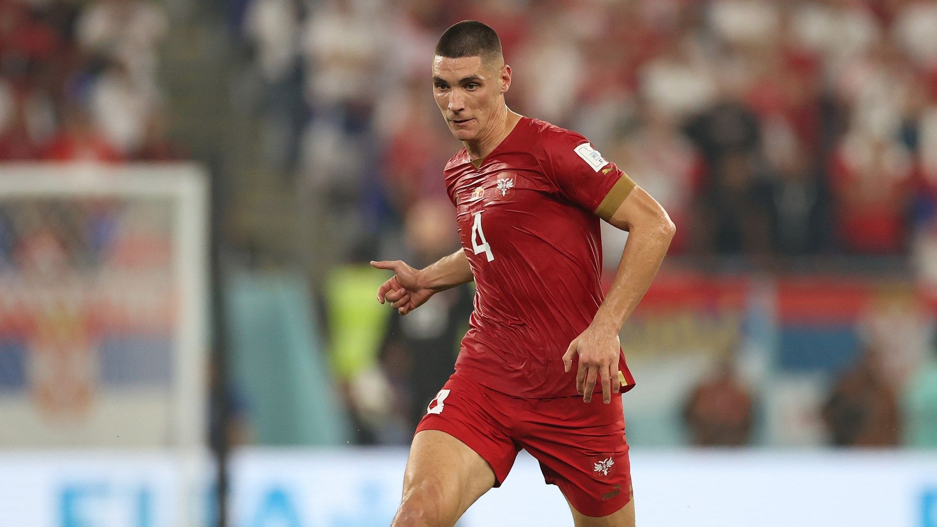 Nikola Milenkovic Serbia