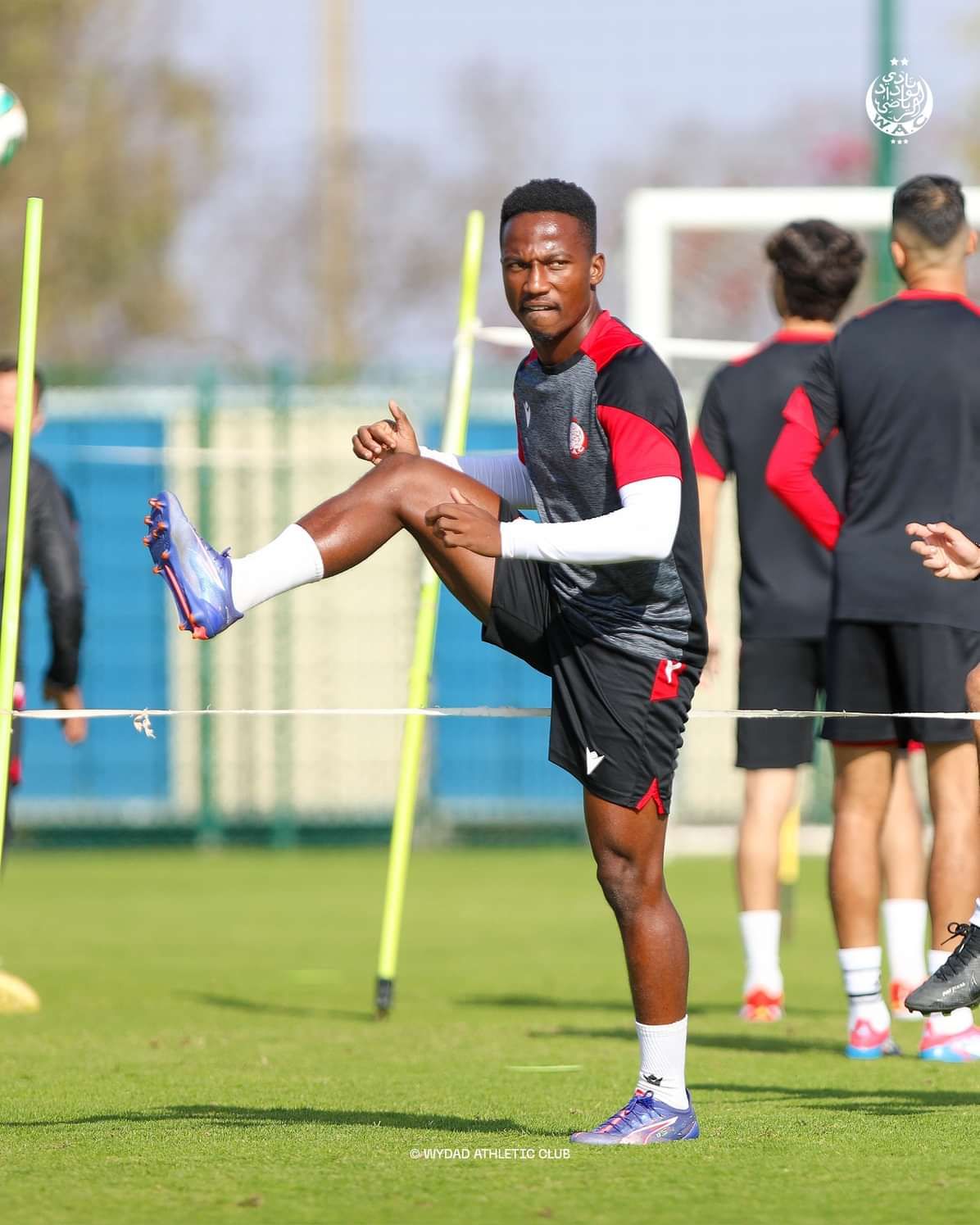 Cassius Mailula, Wydad Cassablanca