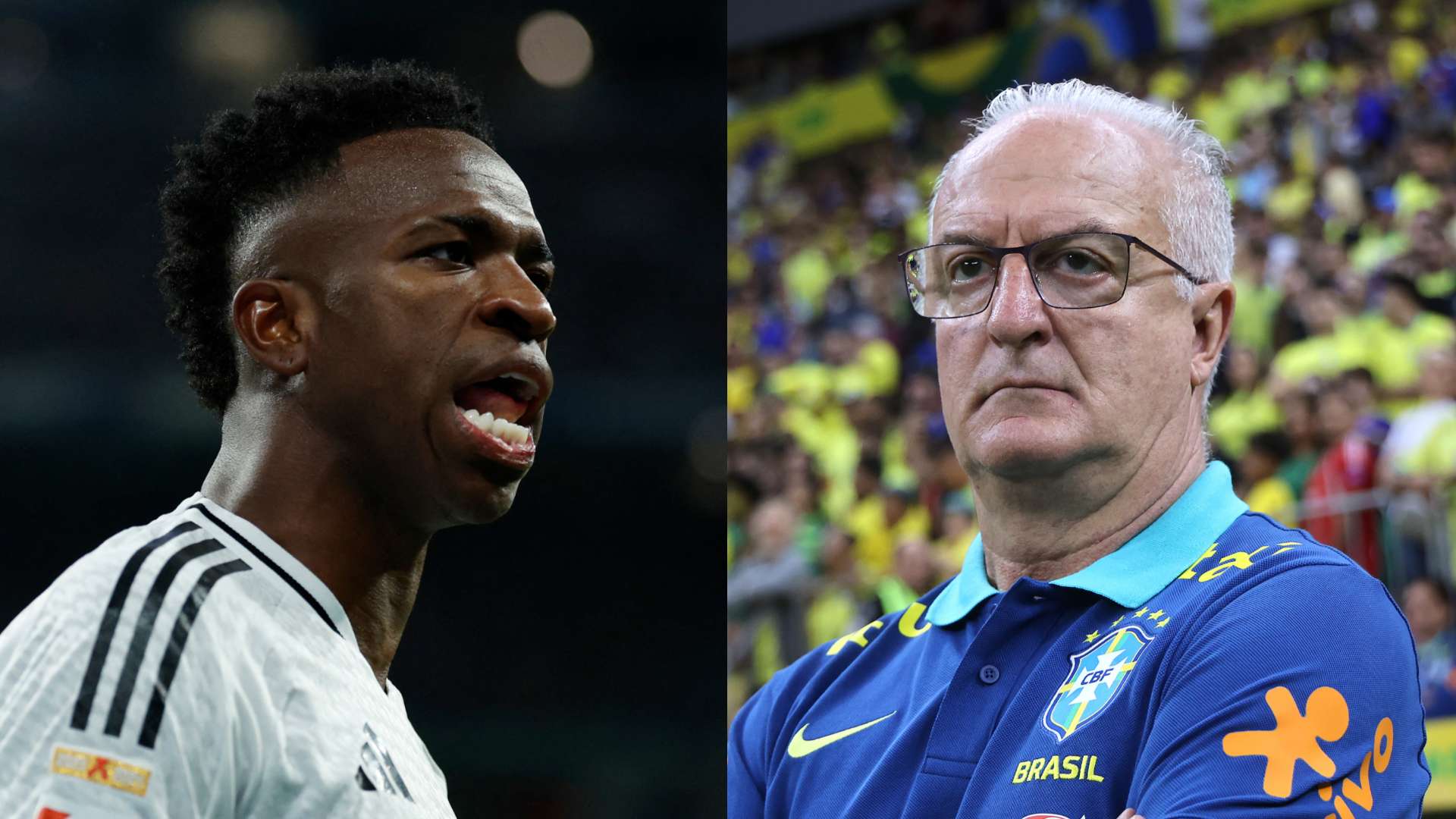 GFX Vinicius Dorival Junior