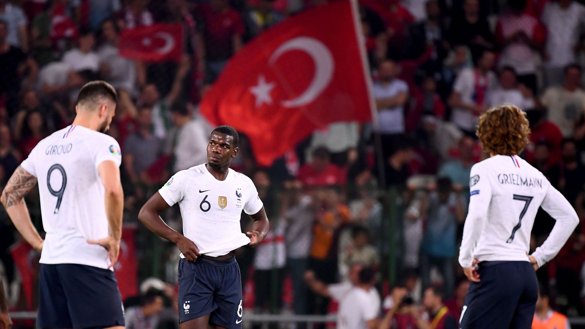 Frankreich Paul Pogba