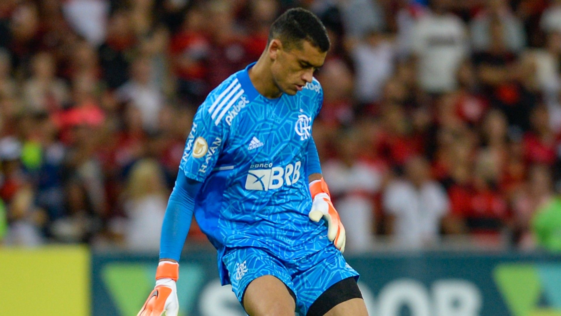 Santos goleiro Flamengo 2022
