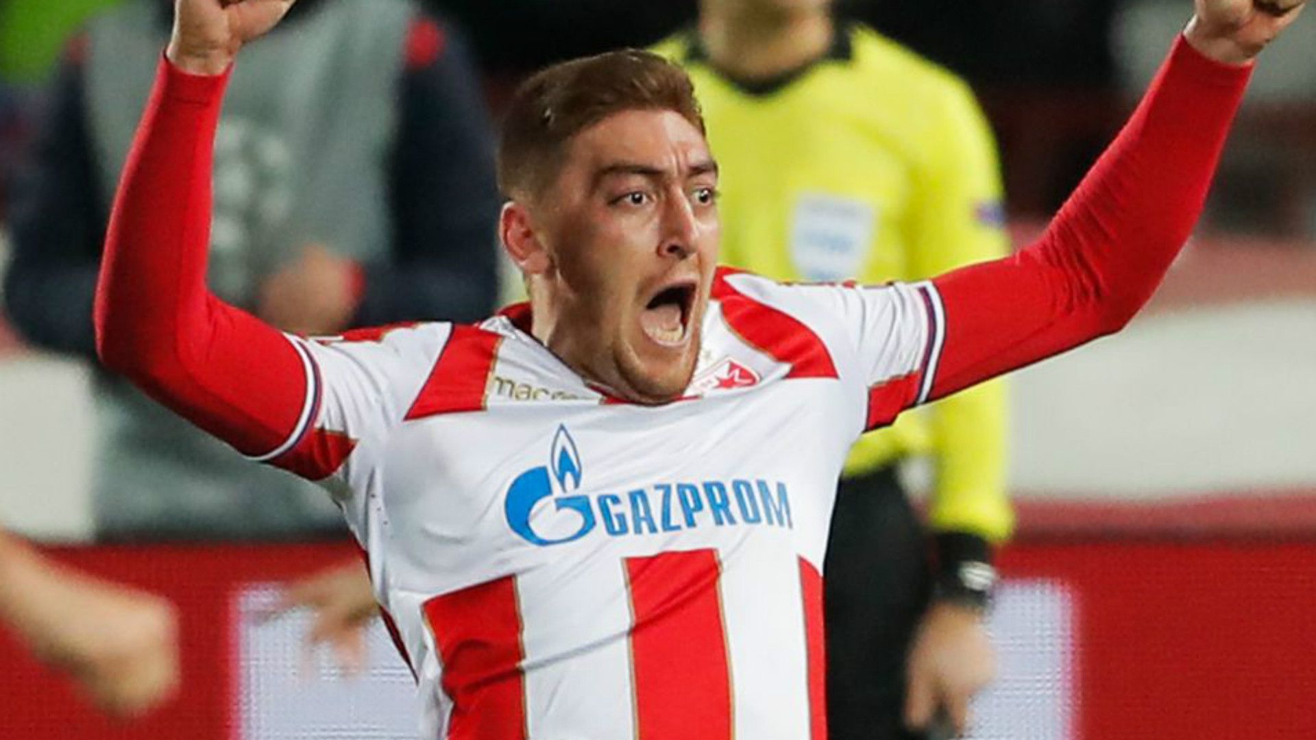 Milan Pavkov Red Star 2018-19