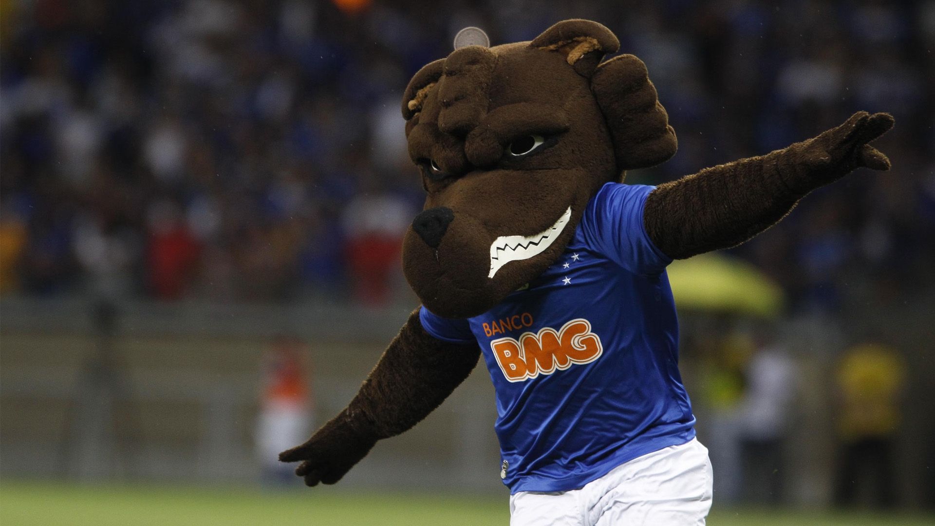 Raposa Cruzeiro 3x1 Criciúma 09 11 2014 Mineirão