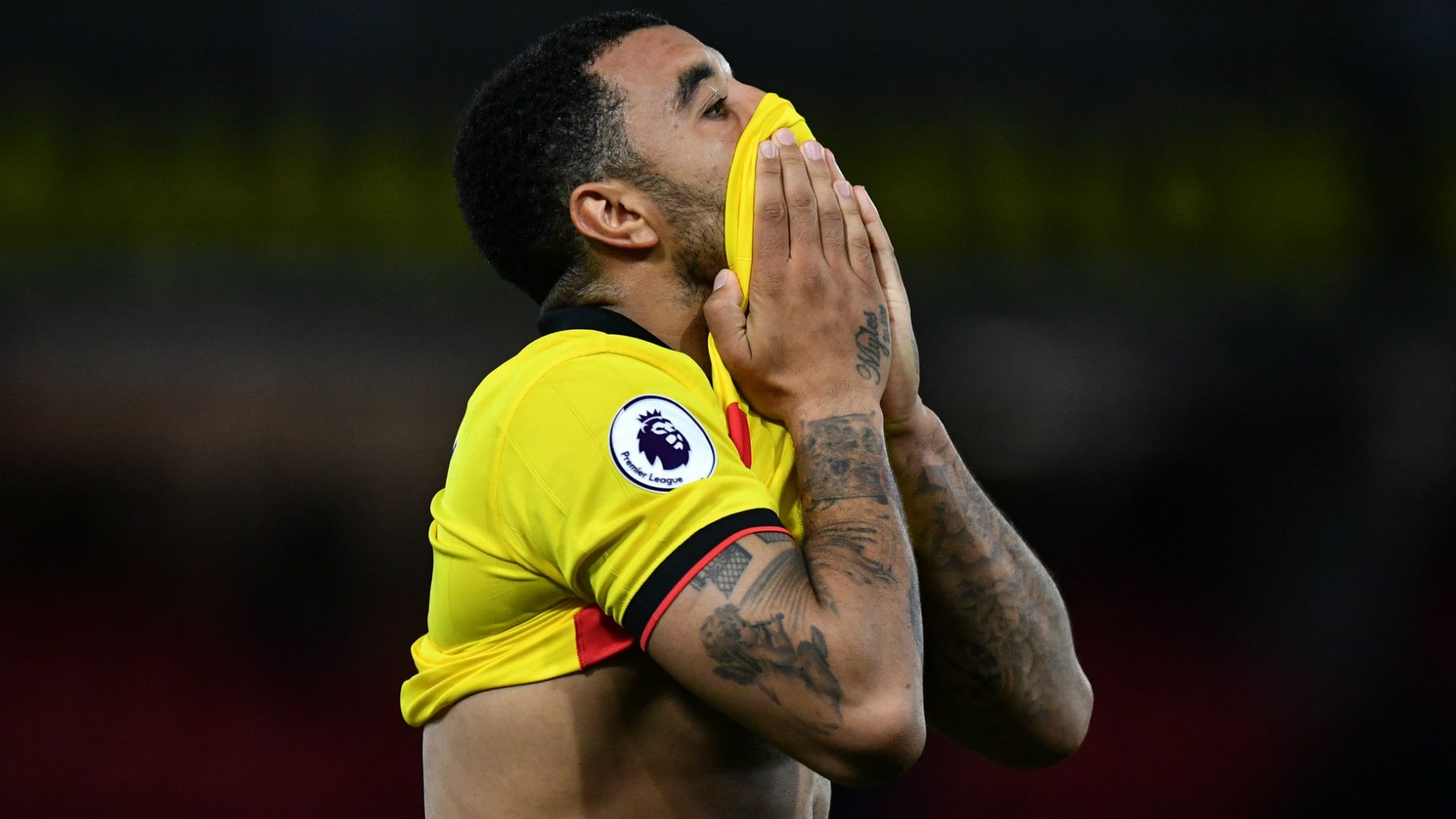 Troy Deeney Watford Premier League