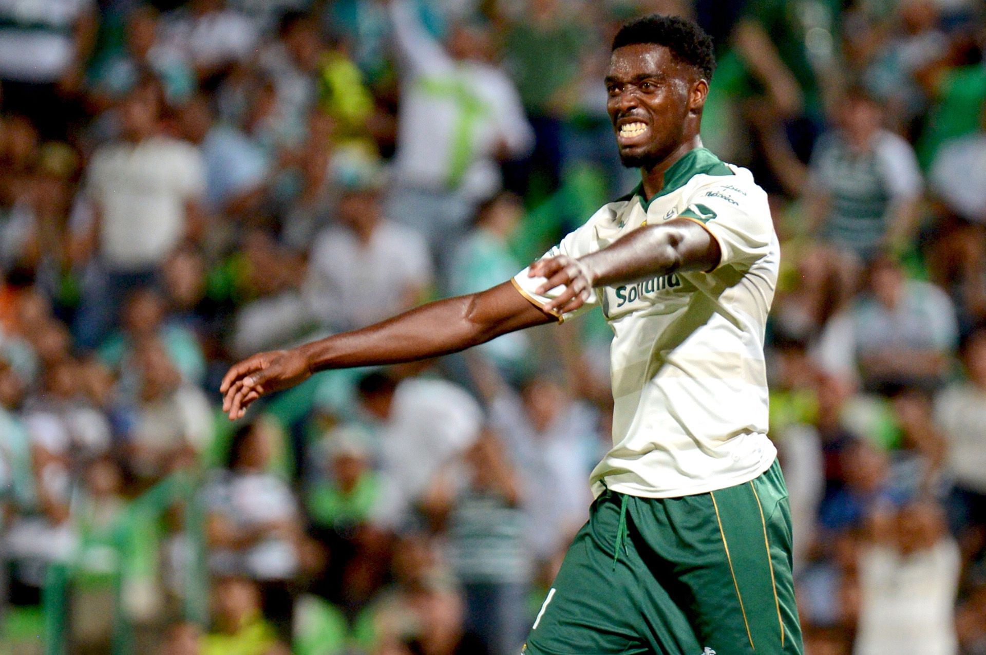 Djaniny Tavares