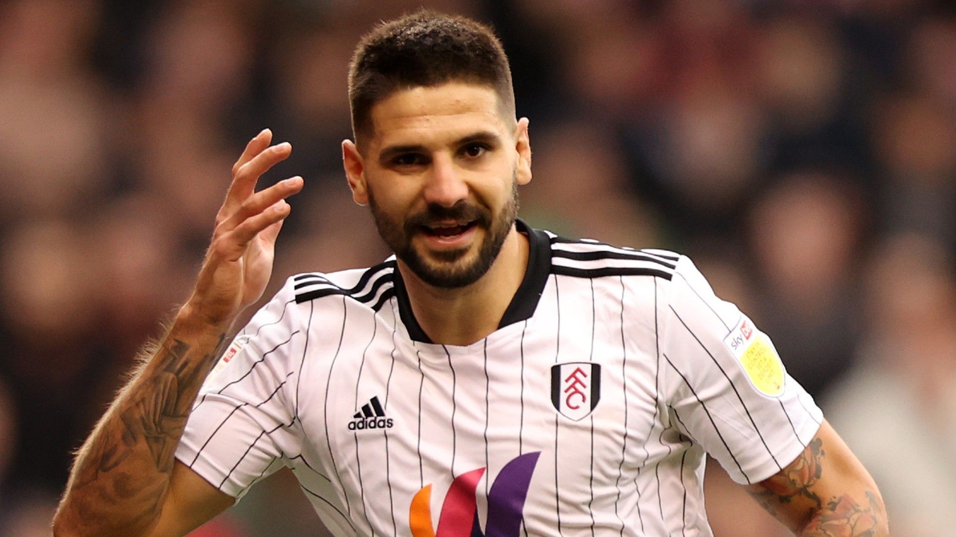 Aleksandar Mitrovic Fulham 2021-22