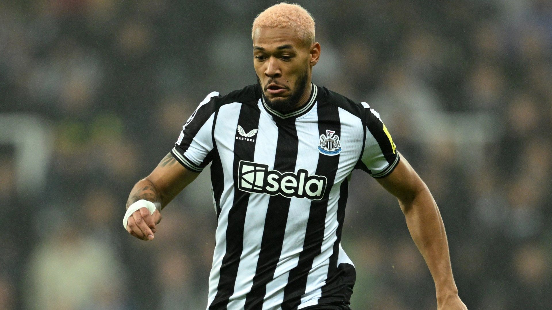 Joelinton Newcastle Dortmund Champions League 2023-24