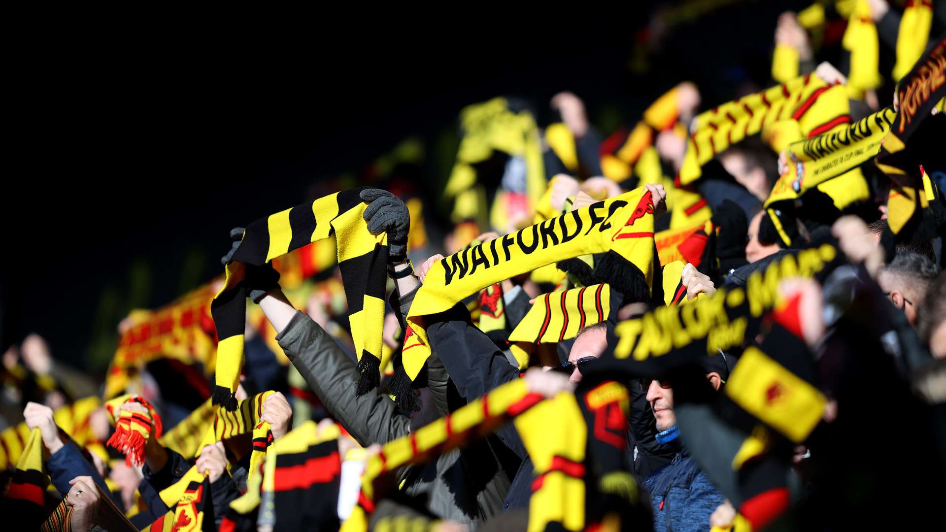 FC Watford Fans 2020