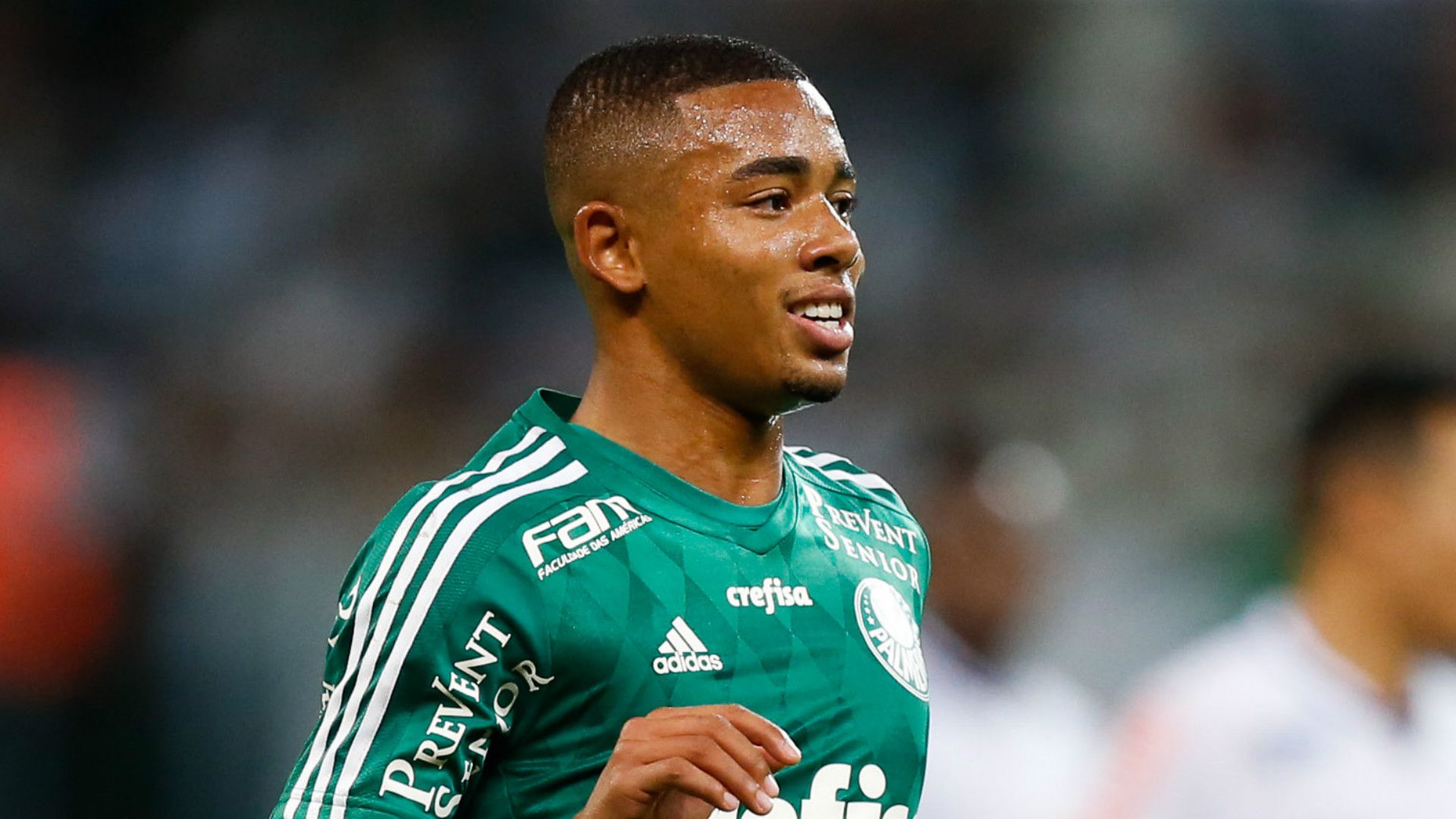 HD Gabriel Jesus Palmeiras