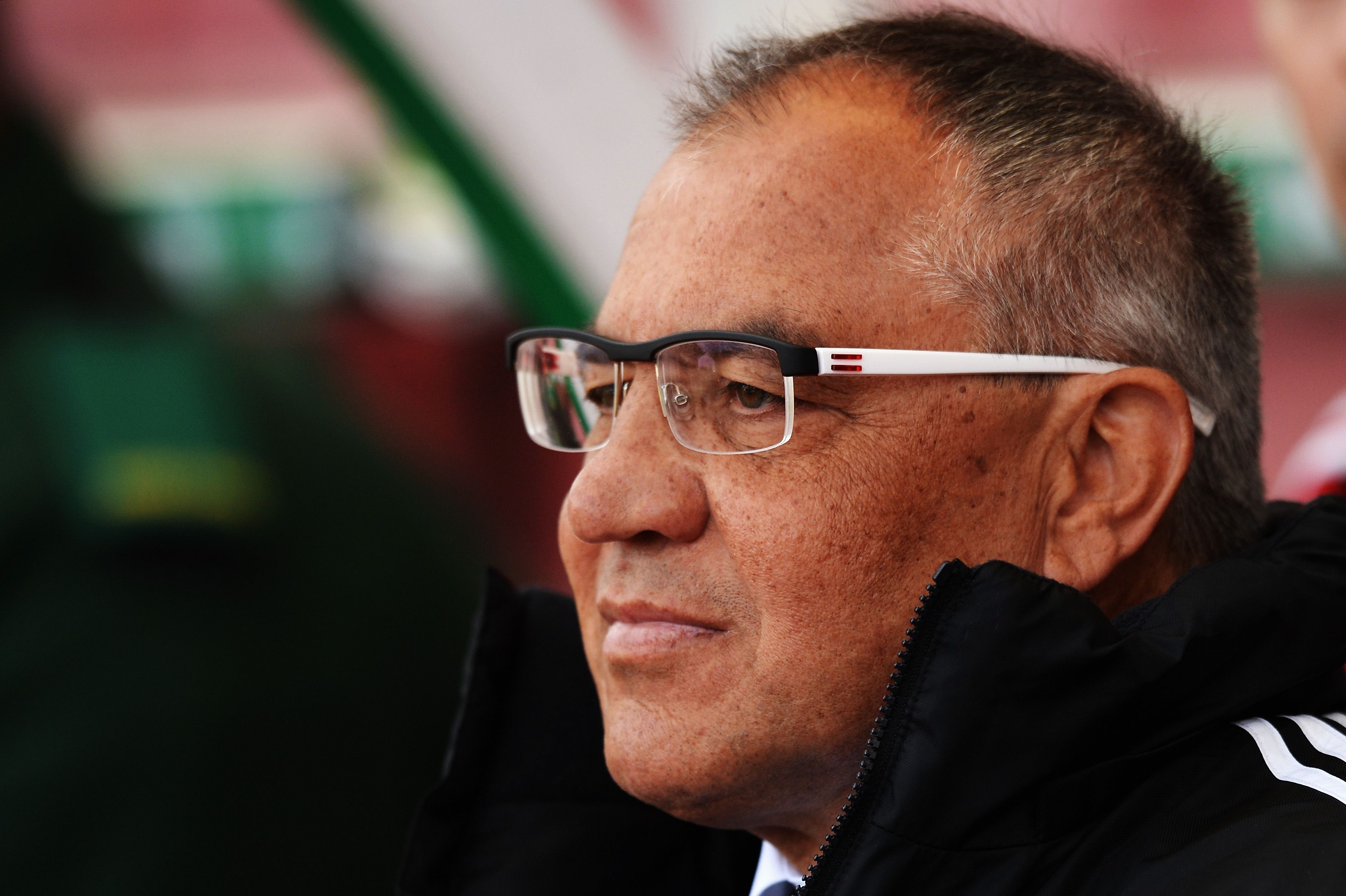 Fulham manager Felix Magath