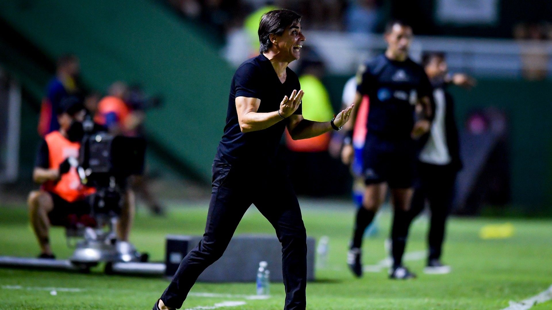 Javier Sanguinetti Banfield Torneo Liga Profesional 2023
