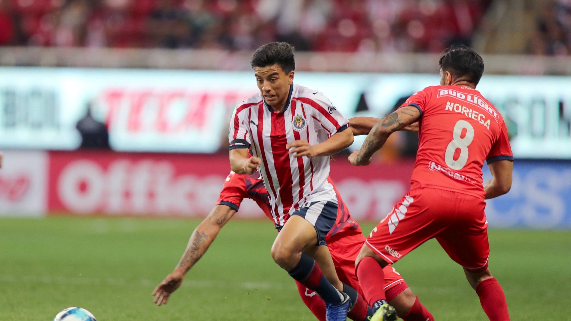 Chivas Veracruz Fernando Beltrán