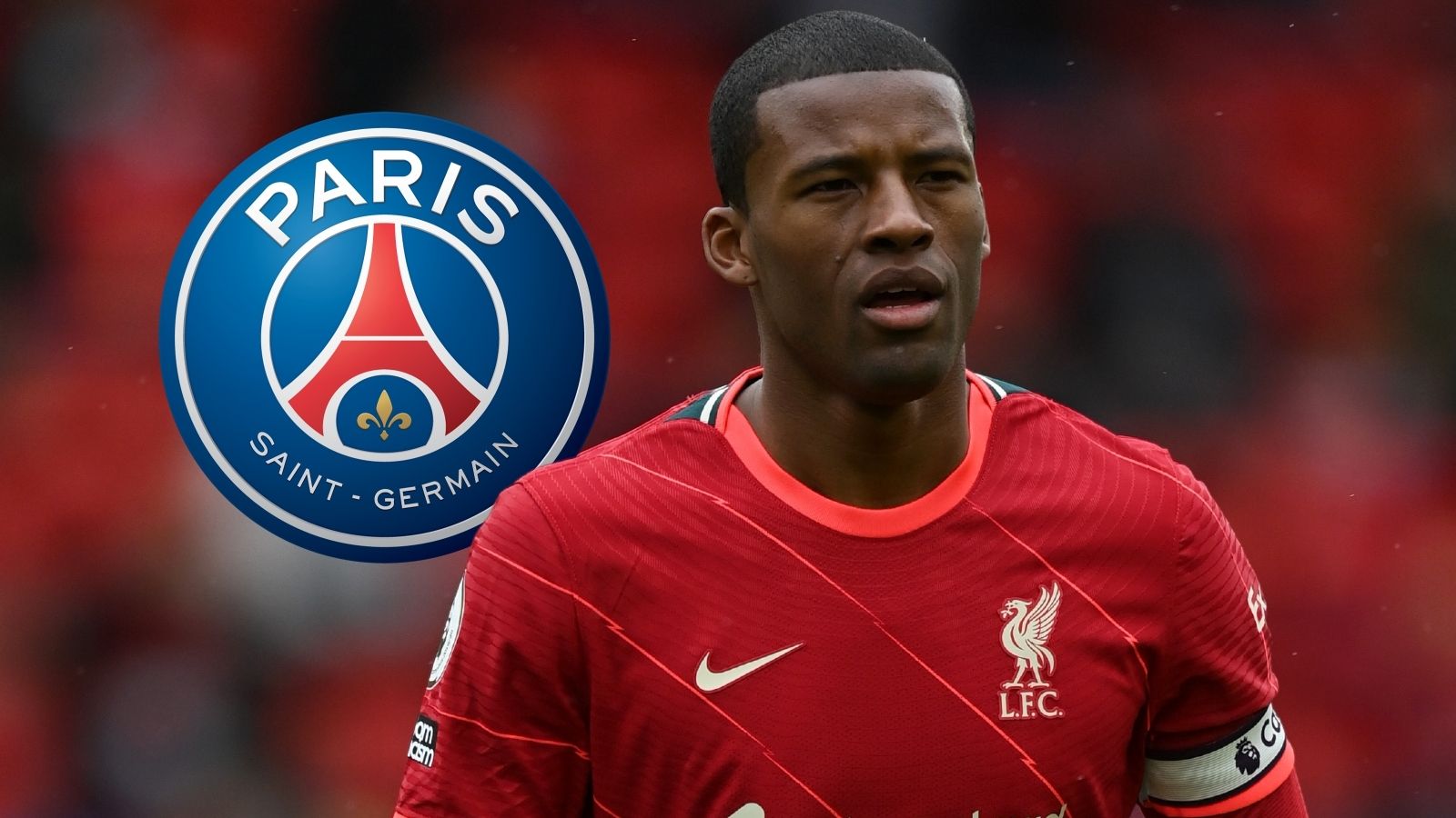 Georginio Wijnaldum PSG GFX
