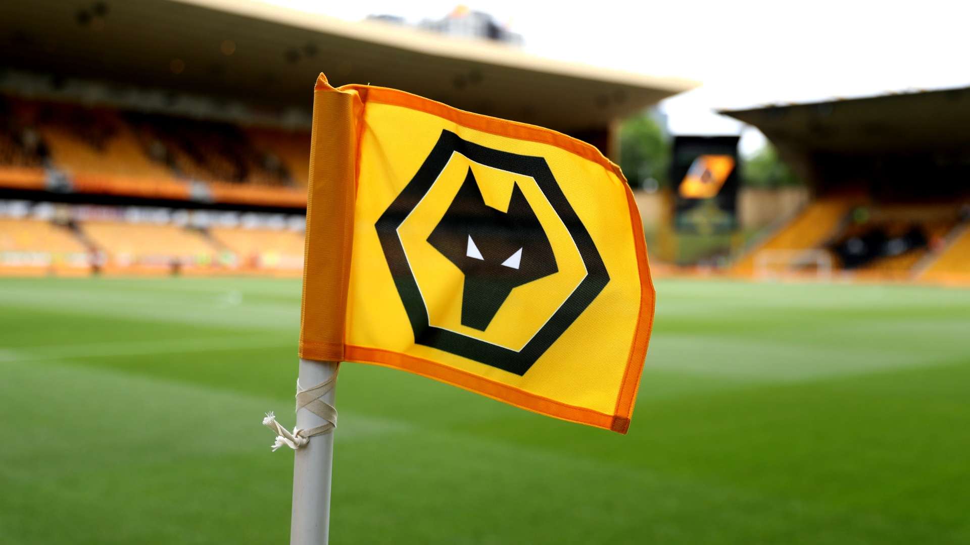 Wolves flag 2019-20