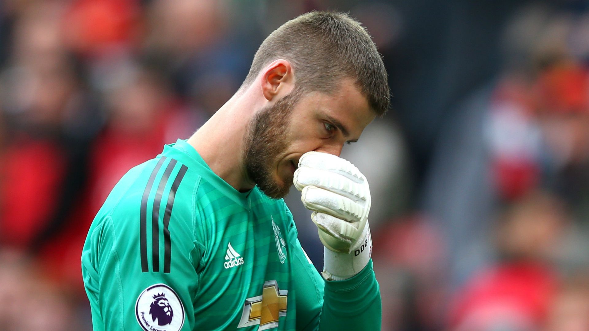 David de Gea Manchester United 2018-19