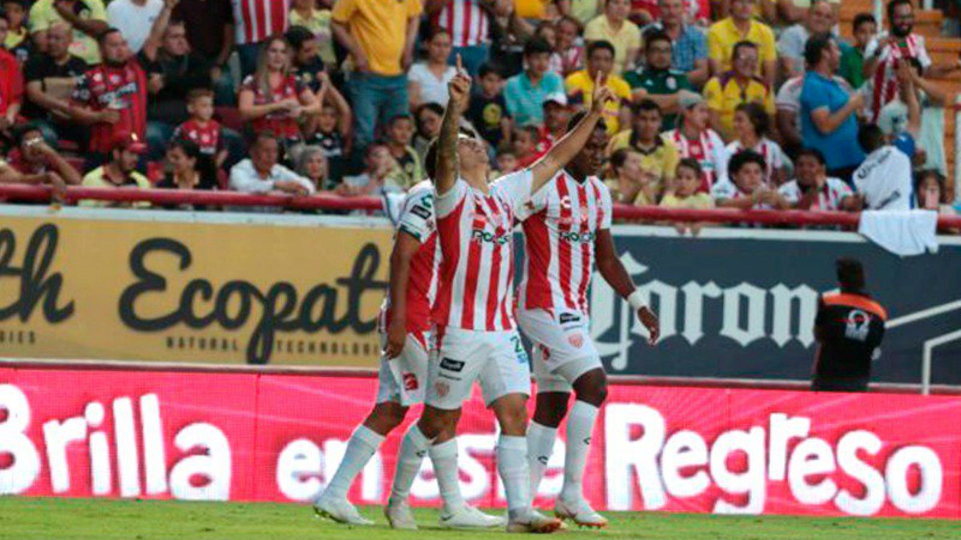 Necaxa