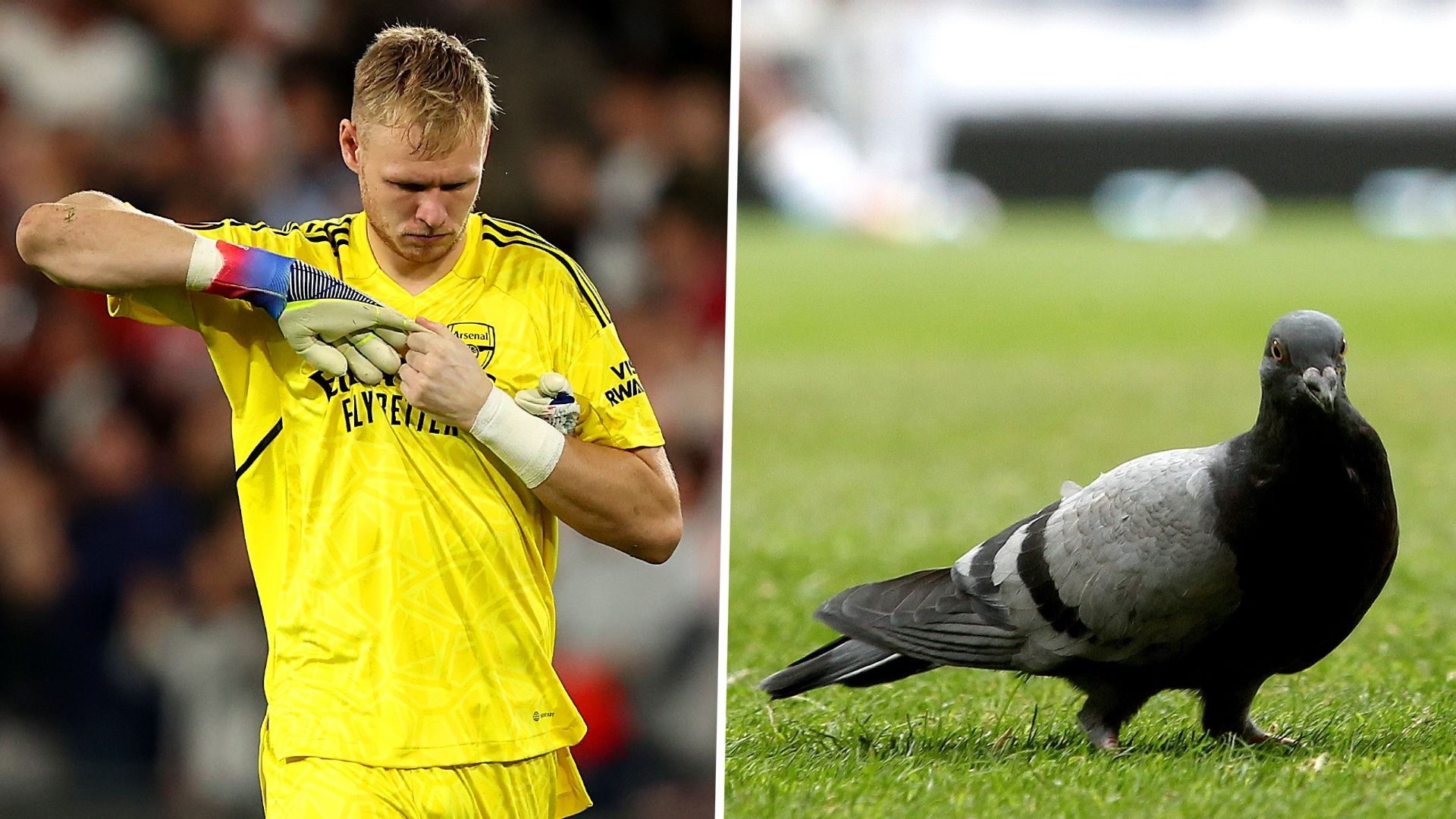 Ramsdale Arsenal 2022-23