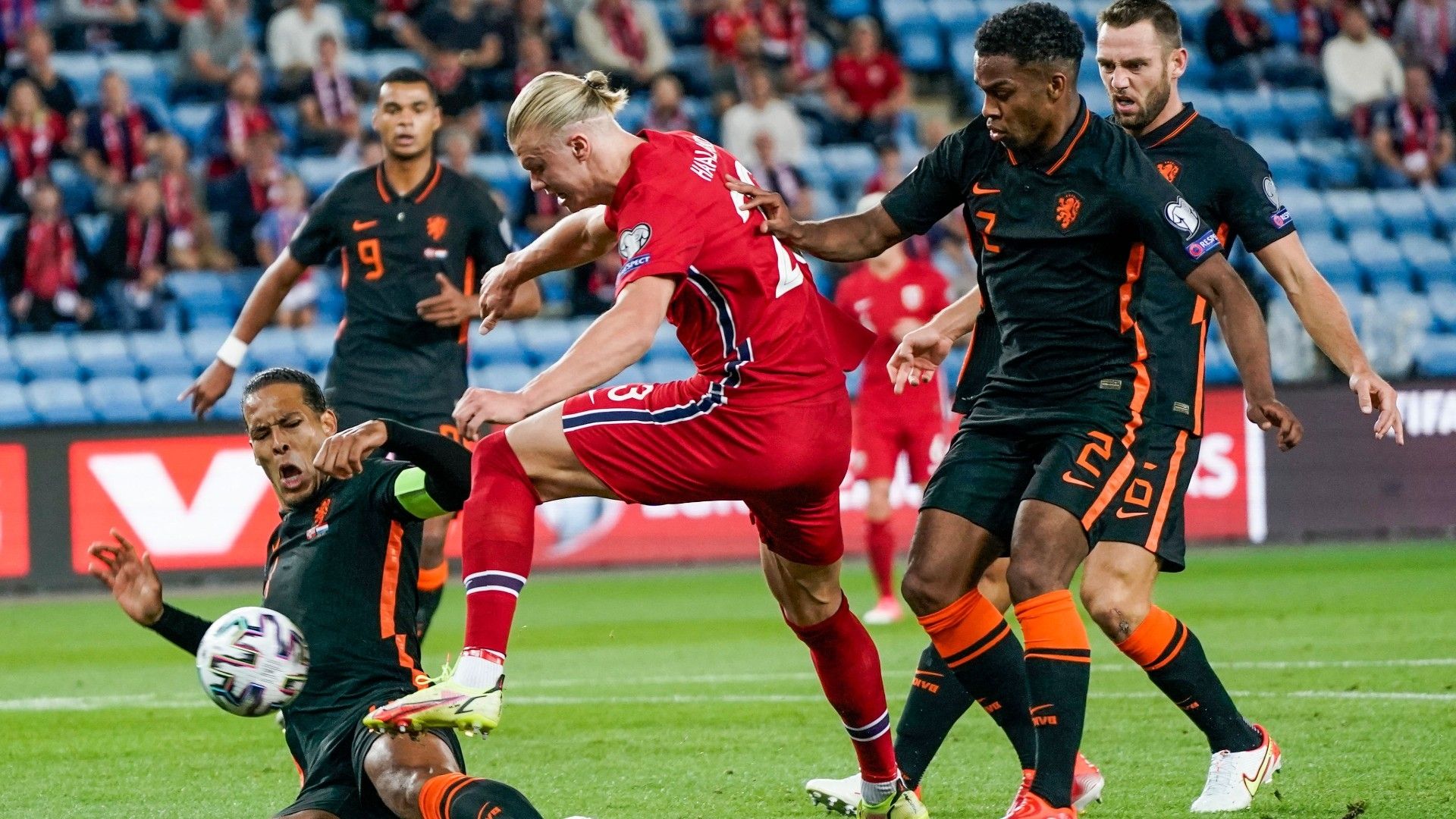 Van-Dijk-Timber-Netherlands