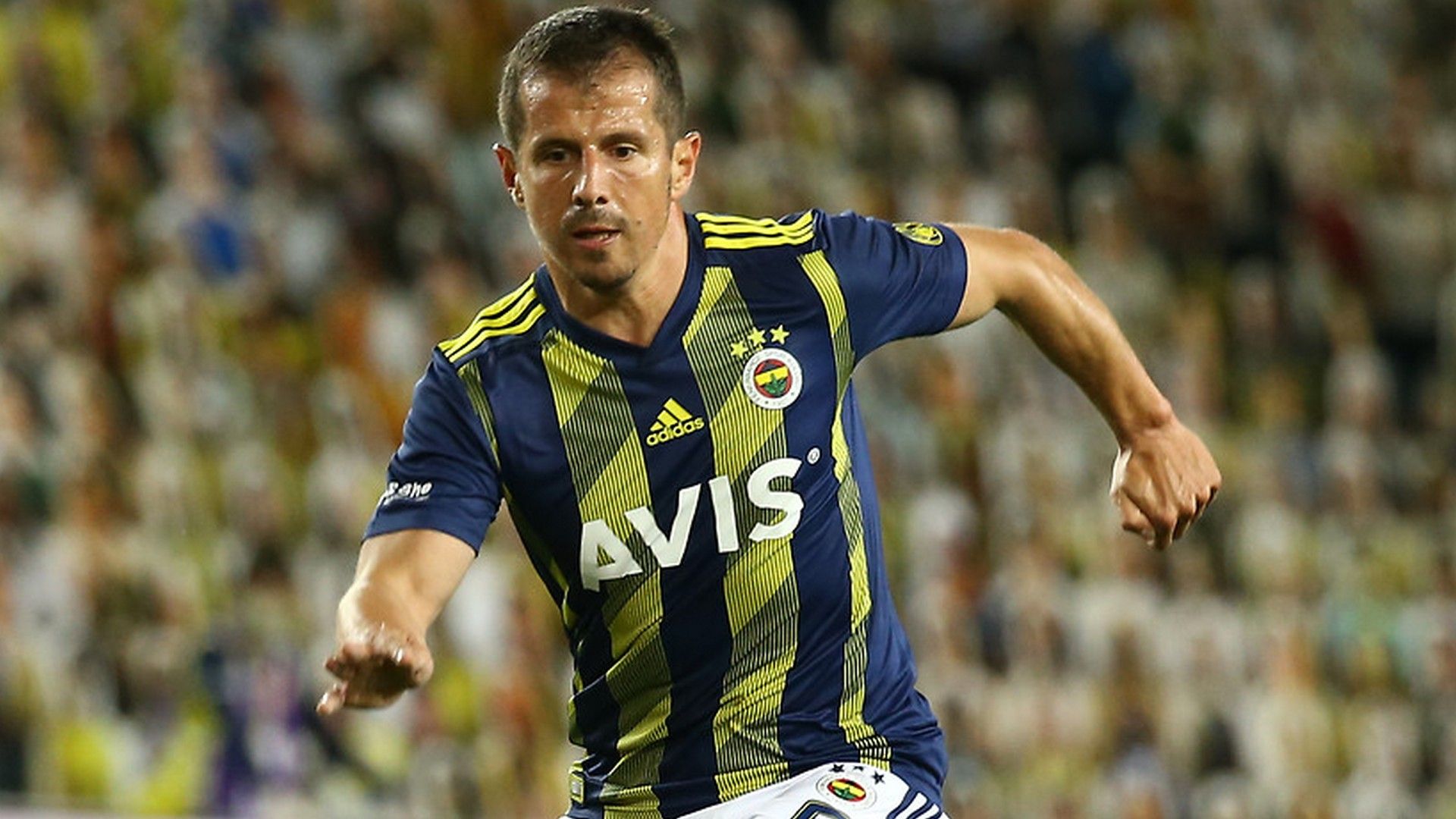 Emre Belozoglu Fenerbahce