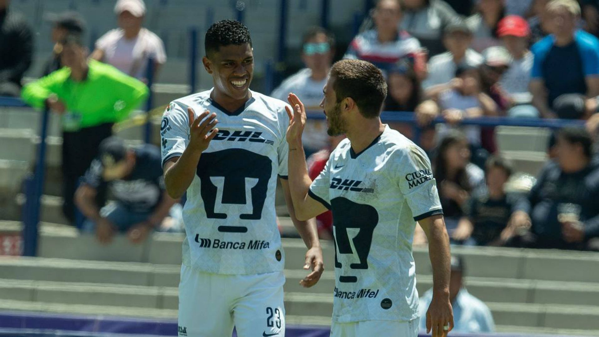 Pumas Apertura 2019