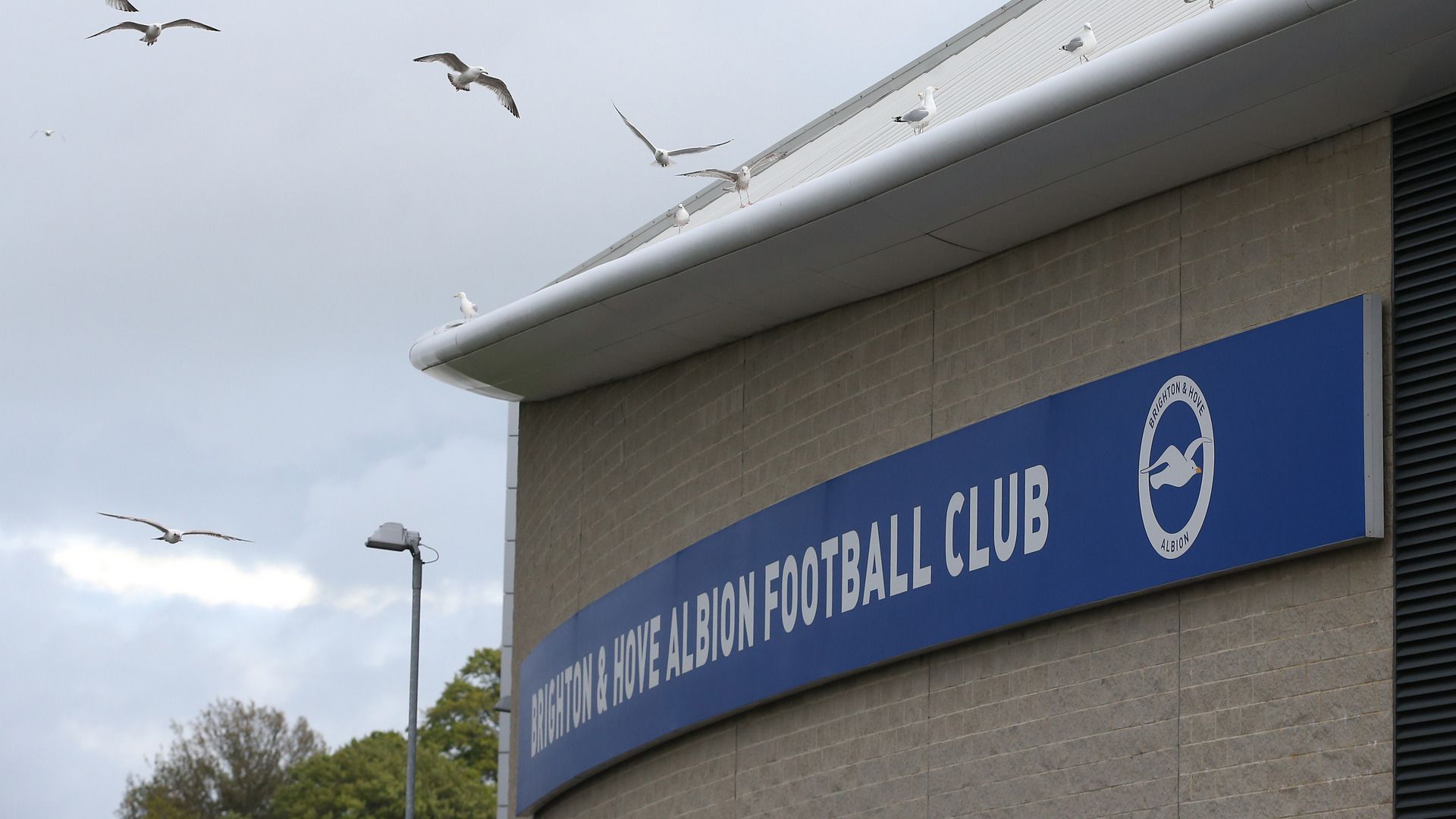 Brighton and Hove Albion