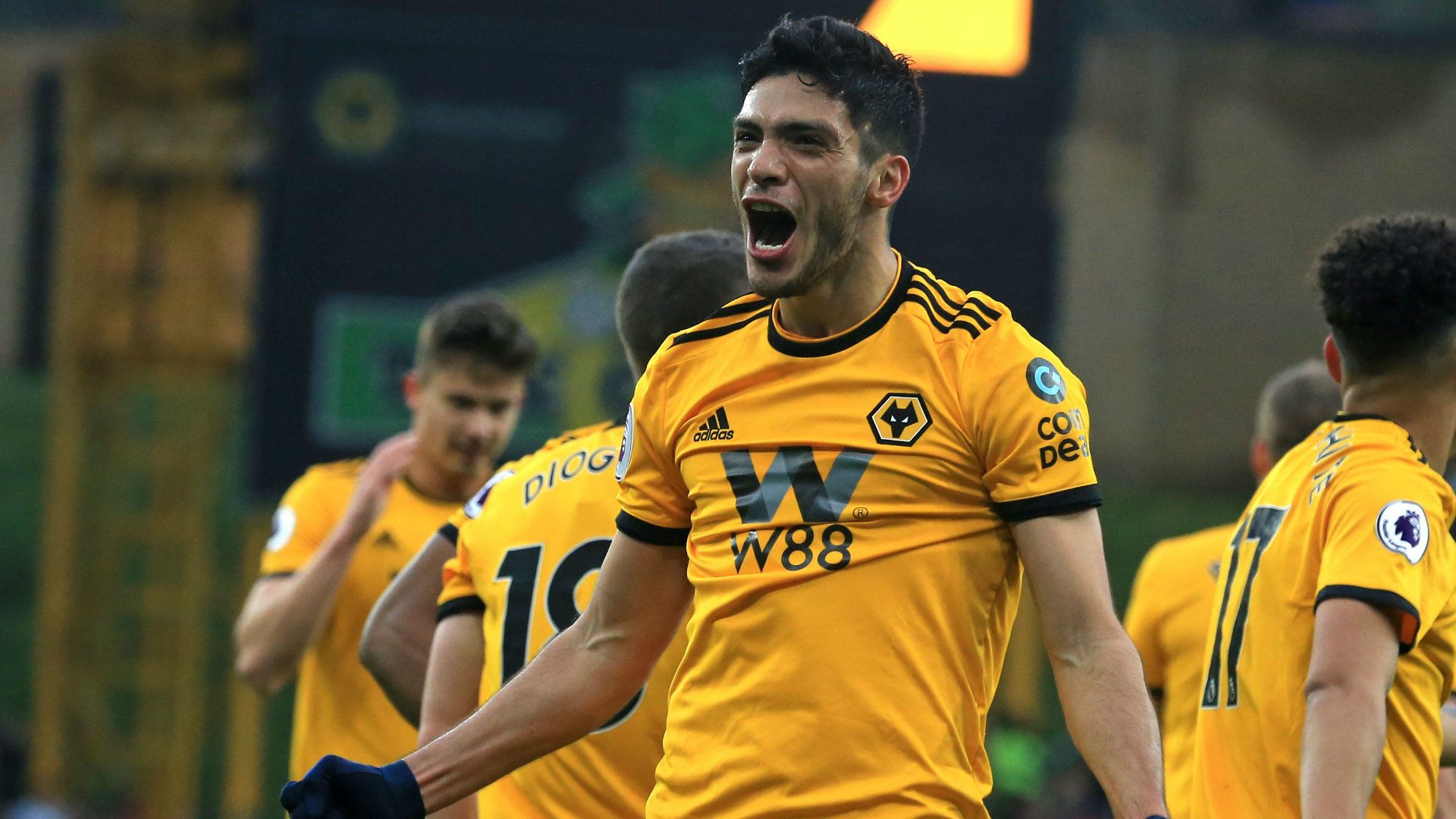 Raúl Jiménez Wolves 150319