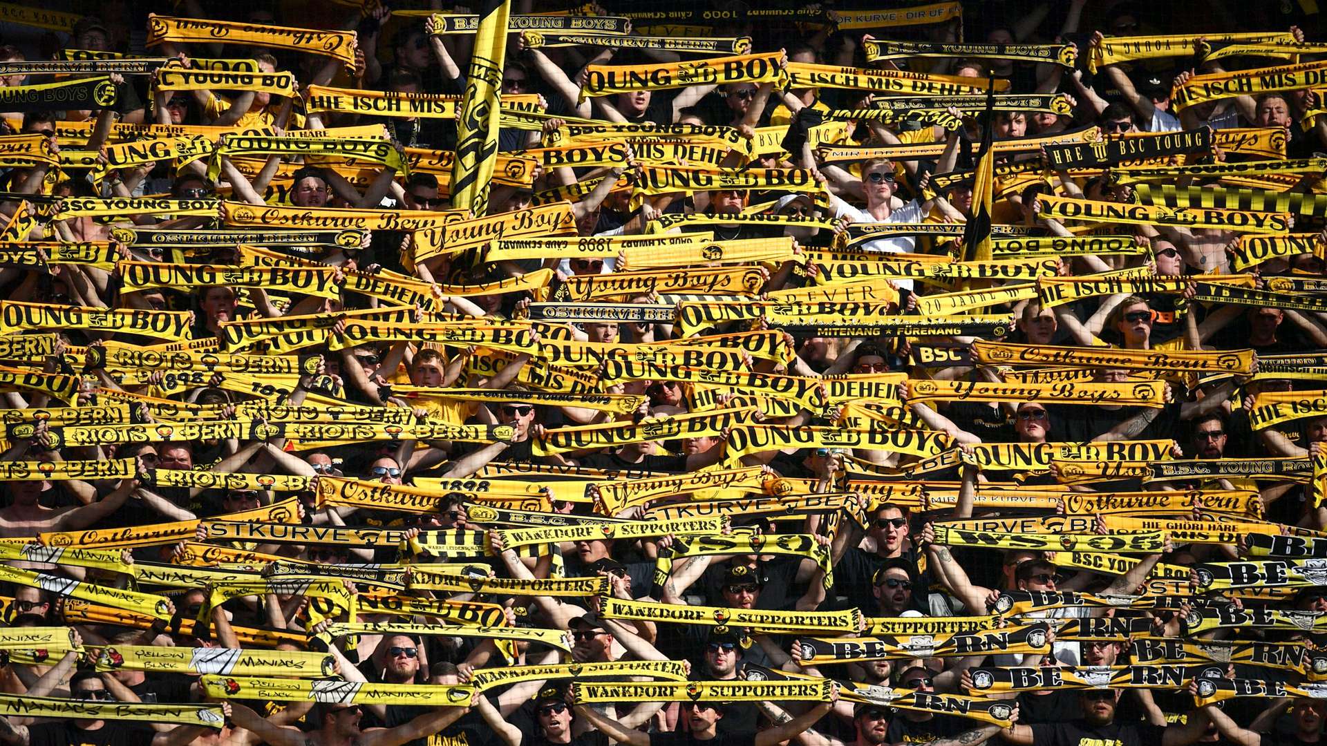 Young Boys Bern Fans Switzerland Schweiz