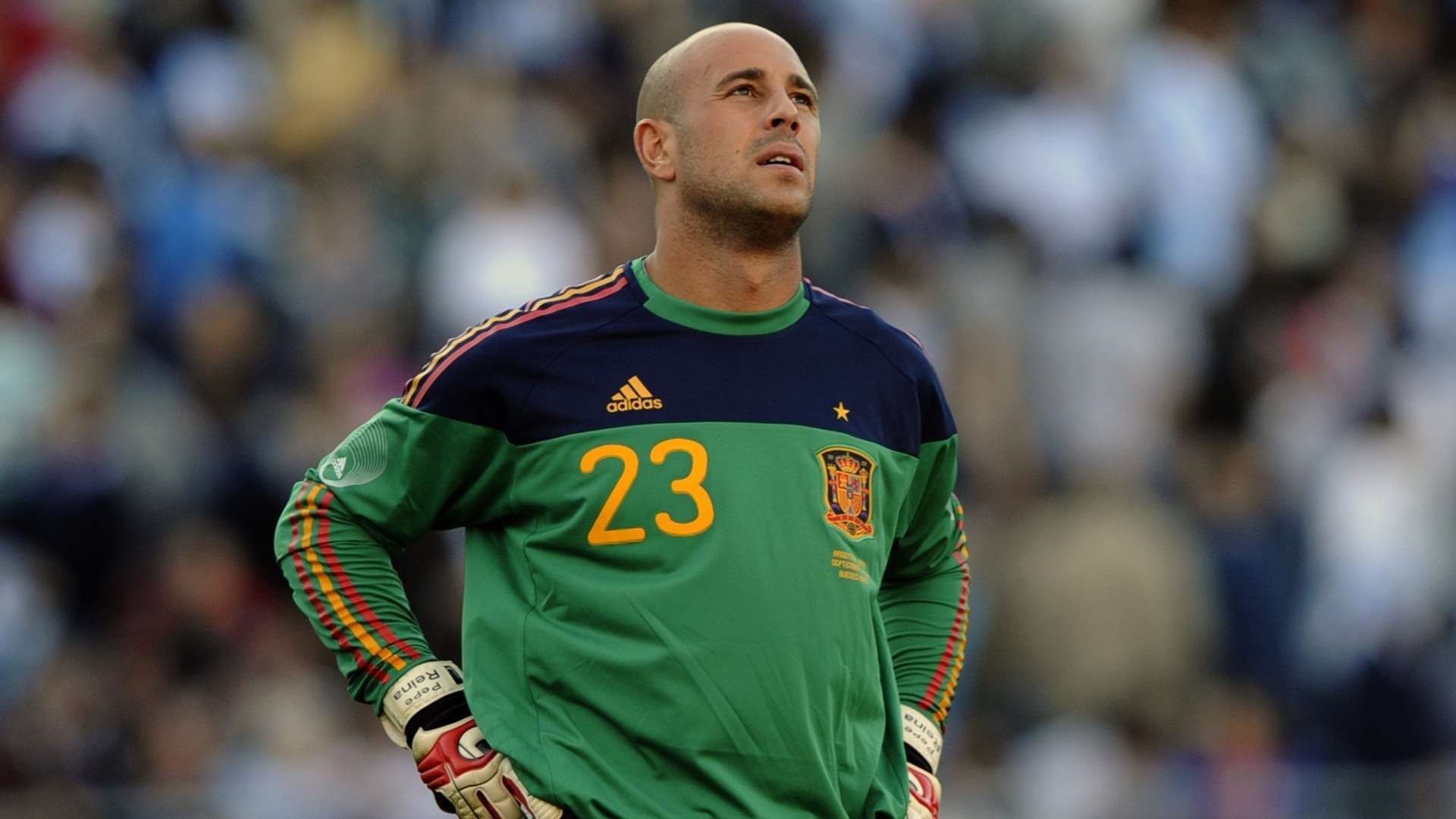 Pepe Reina Spain 2010 World Cup