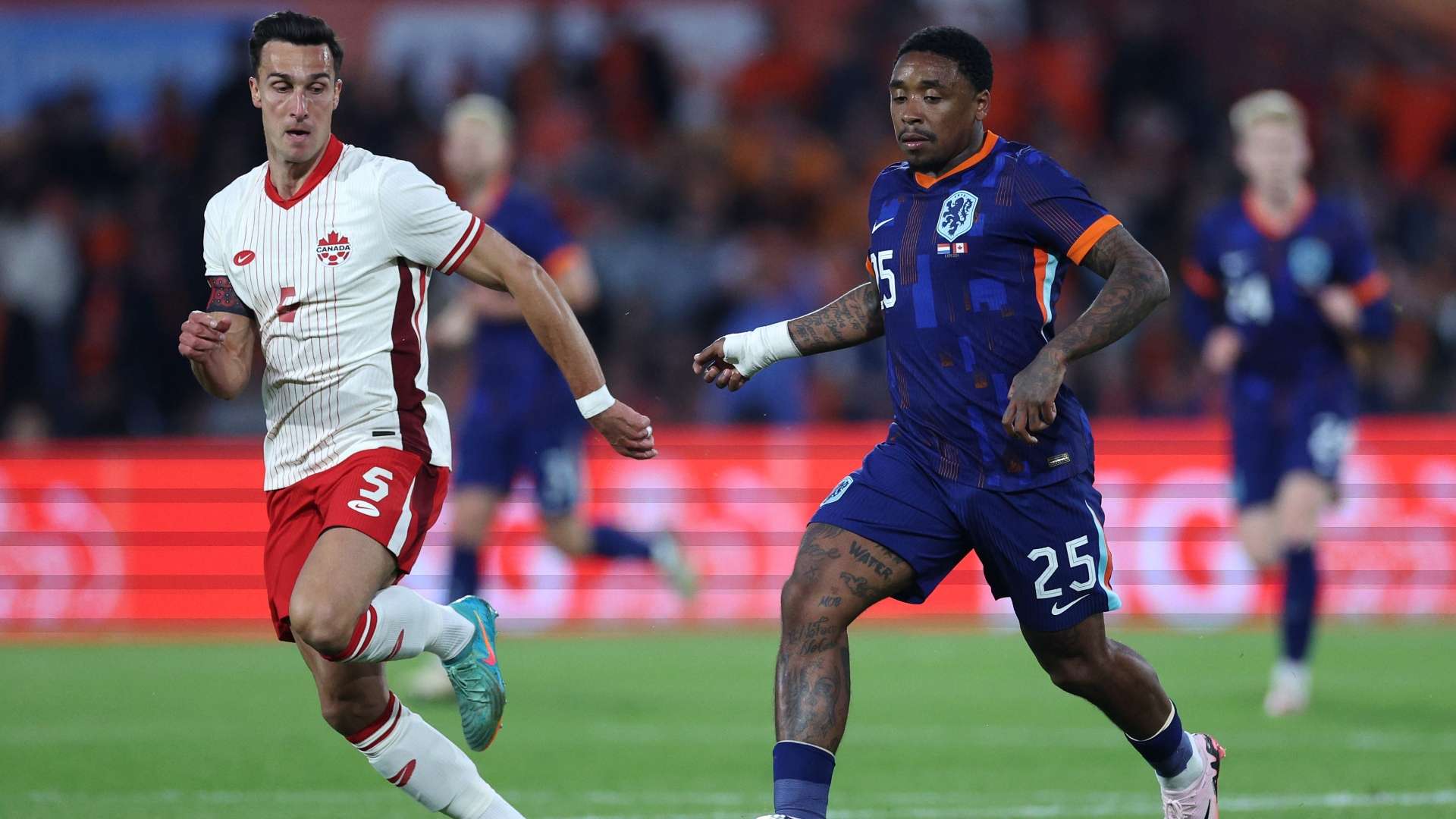 Bergwijn Netherlands 2024