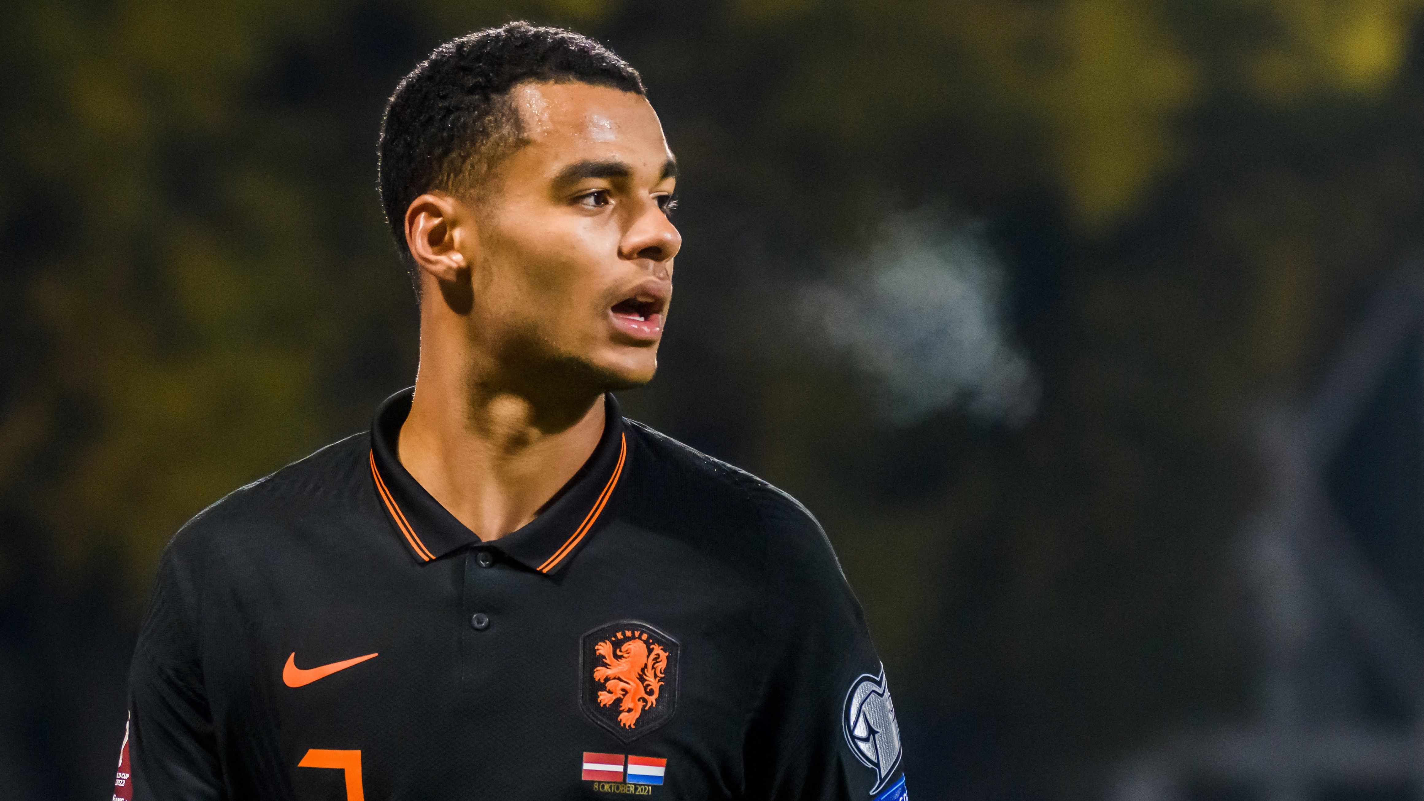 Cody Gakpo Netherlands