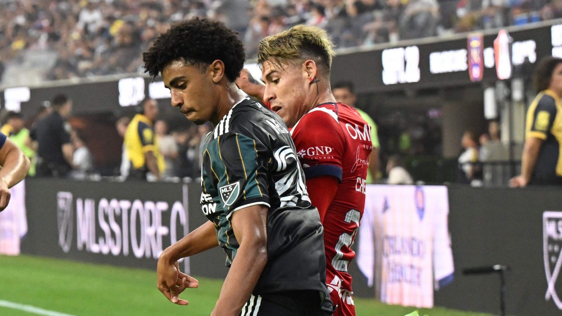 Neal Galaxy Chivas 2022