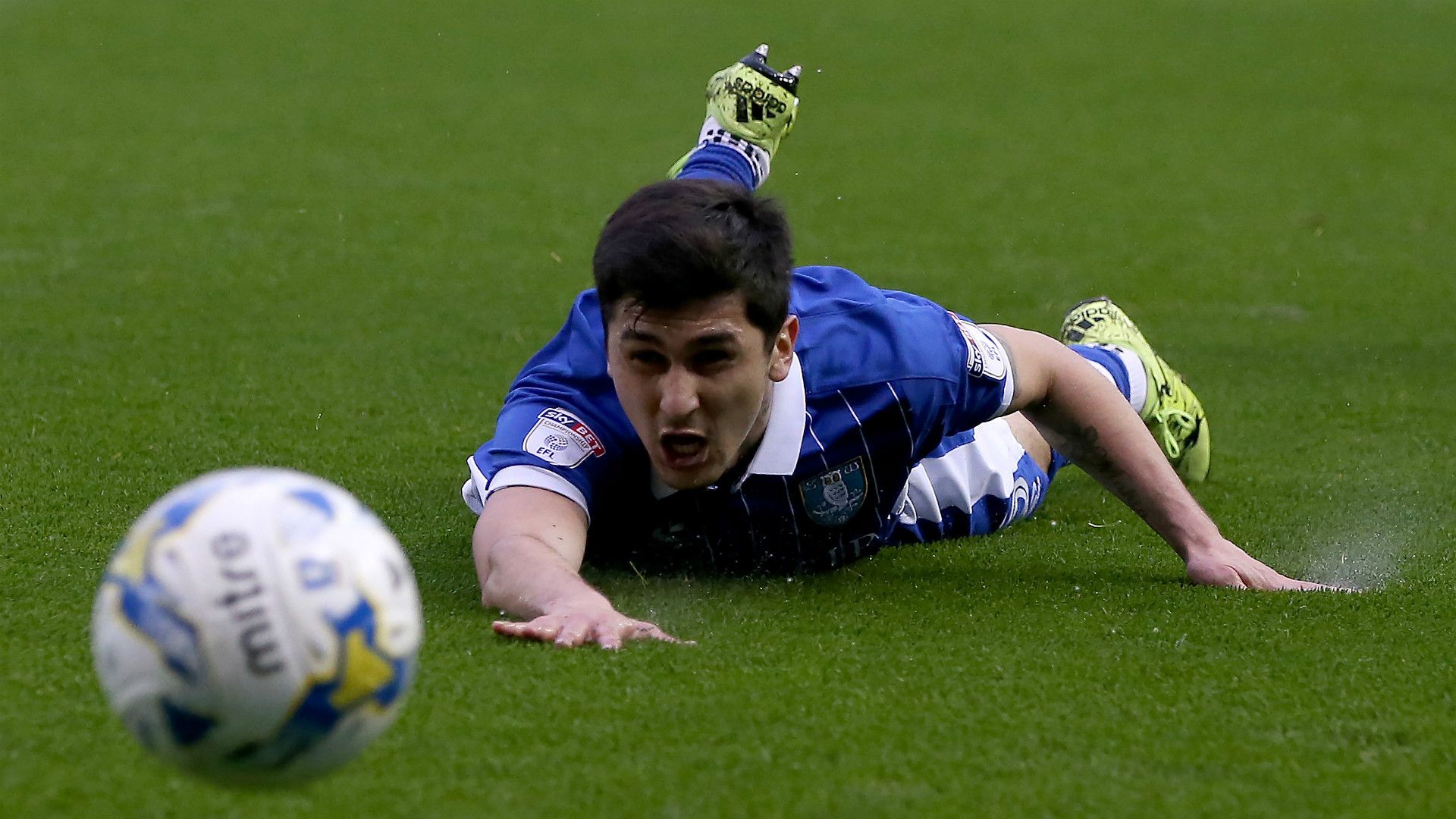 Fernando Forestieri Sheffield Wednesday