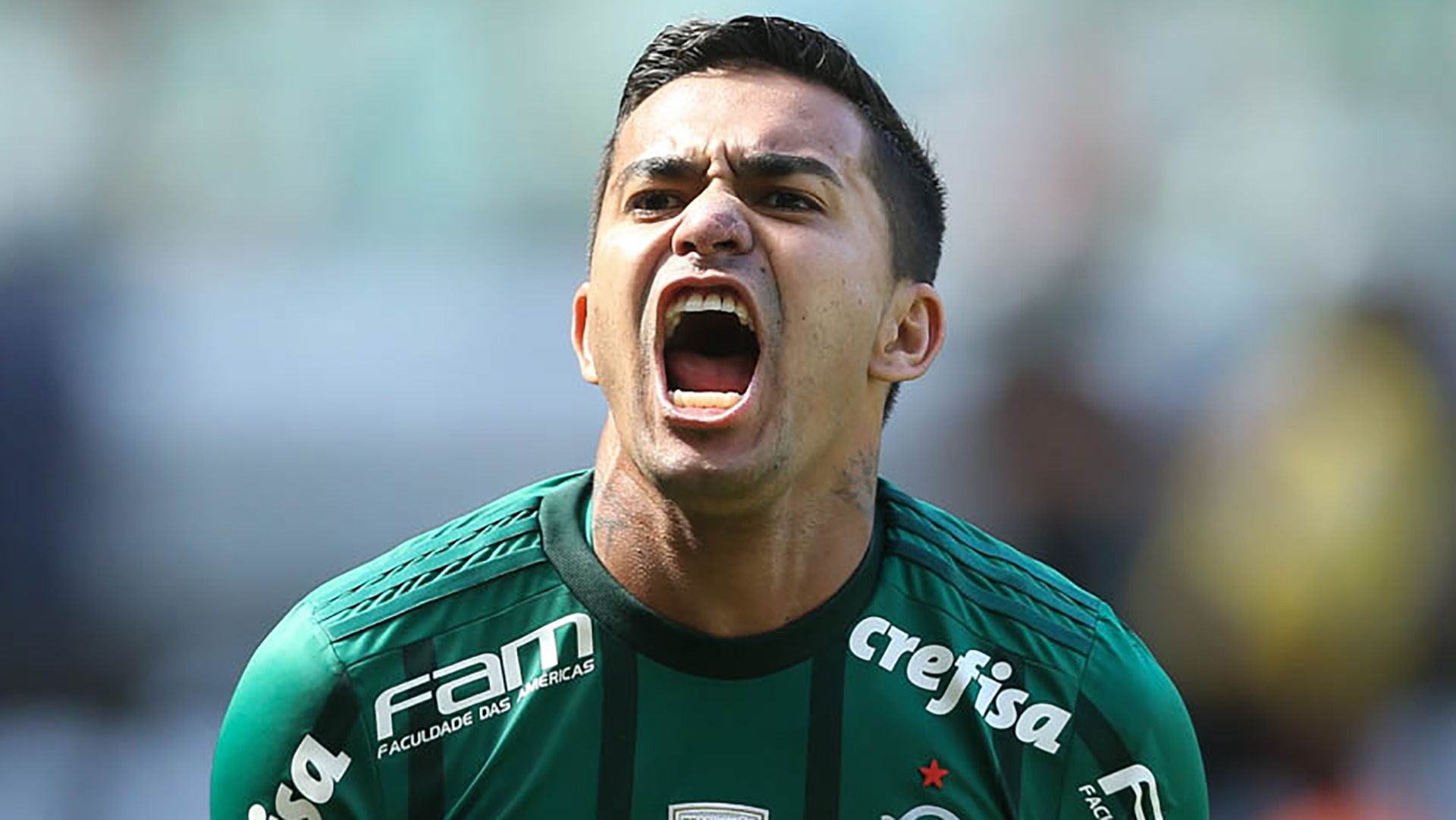 Dudu Palmeiras Vitoria Brasileirao Serie A 16072017