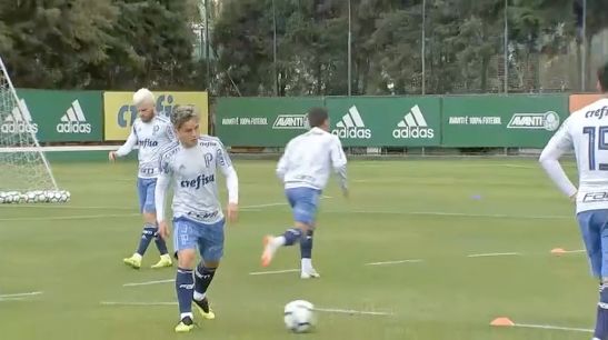 palmeiras_treino