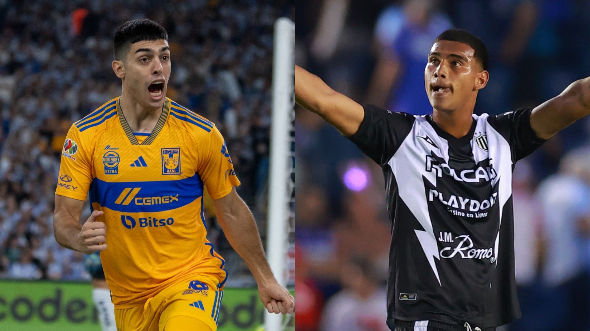 Tigres Necaxa Clausura 2024