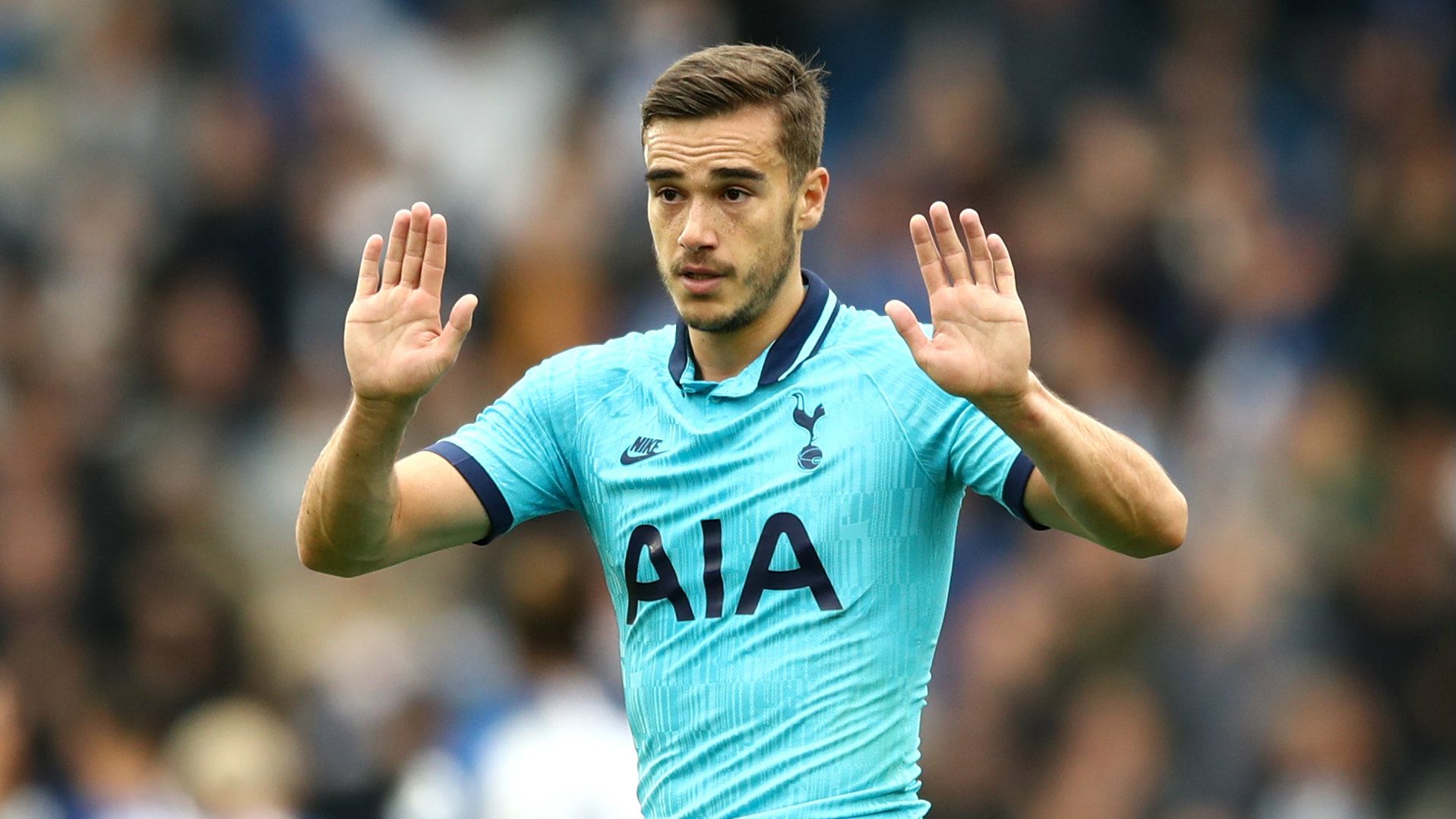 Harry Winks Tottenham 2019-20