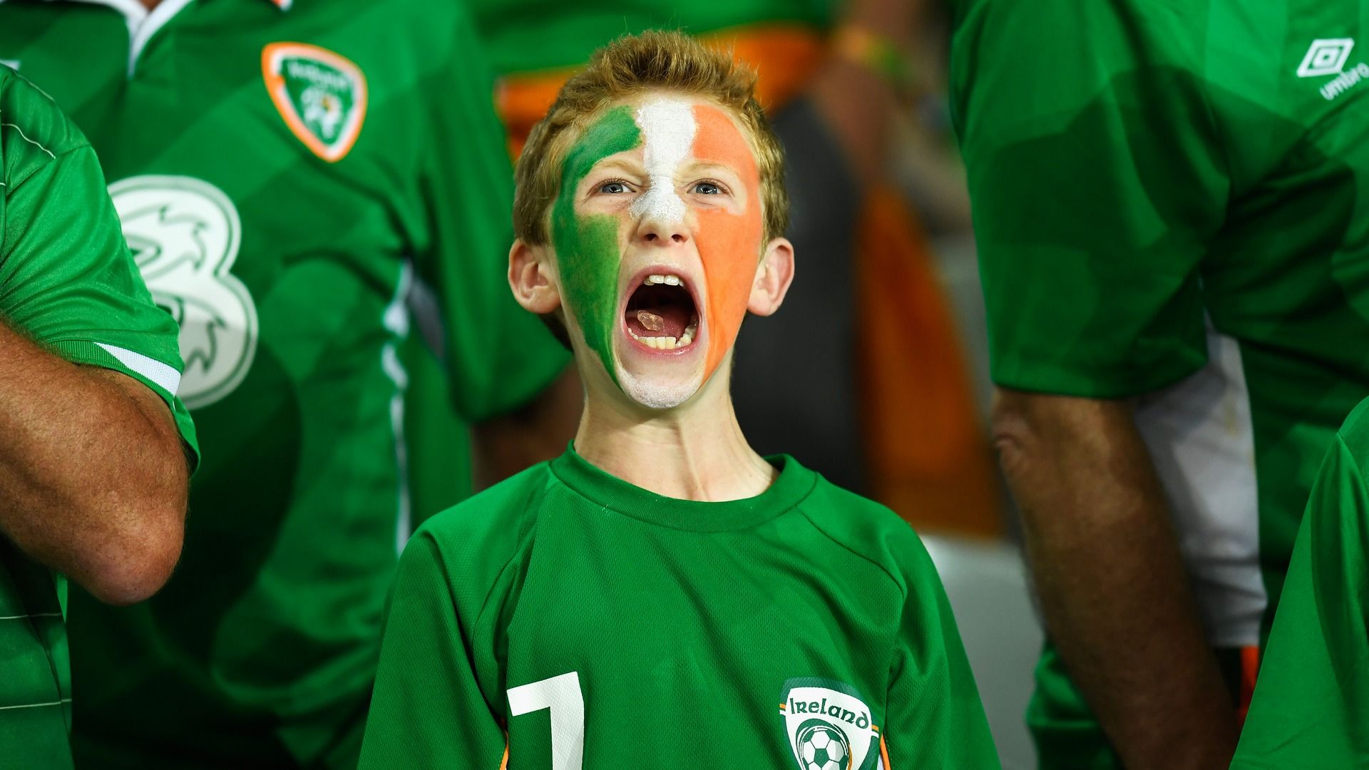 NORTHERN IRELAND CHILD FAN EURO 2016