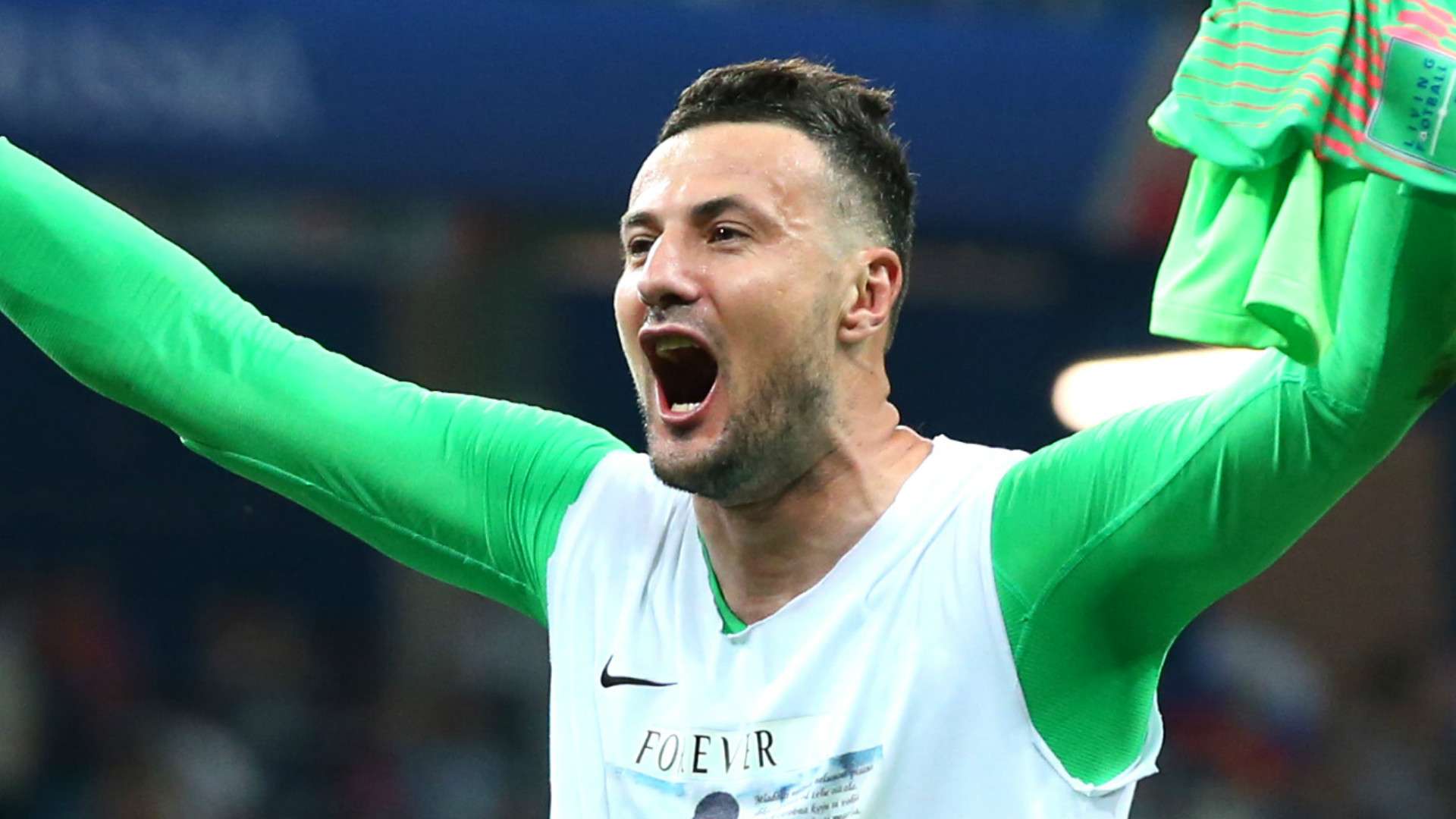Danijel Subasic Croatia 2018