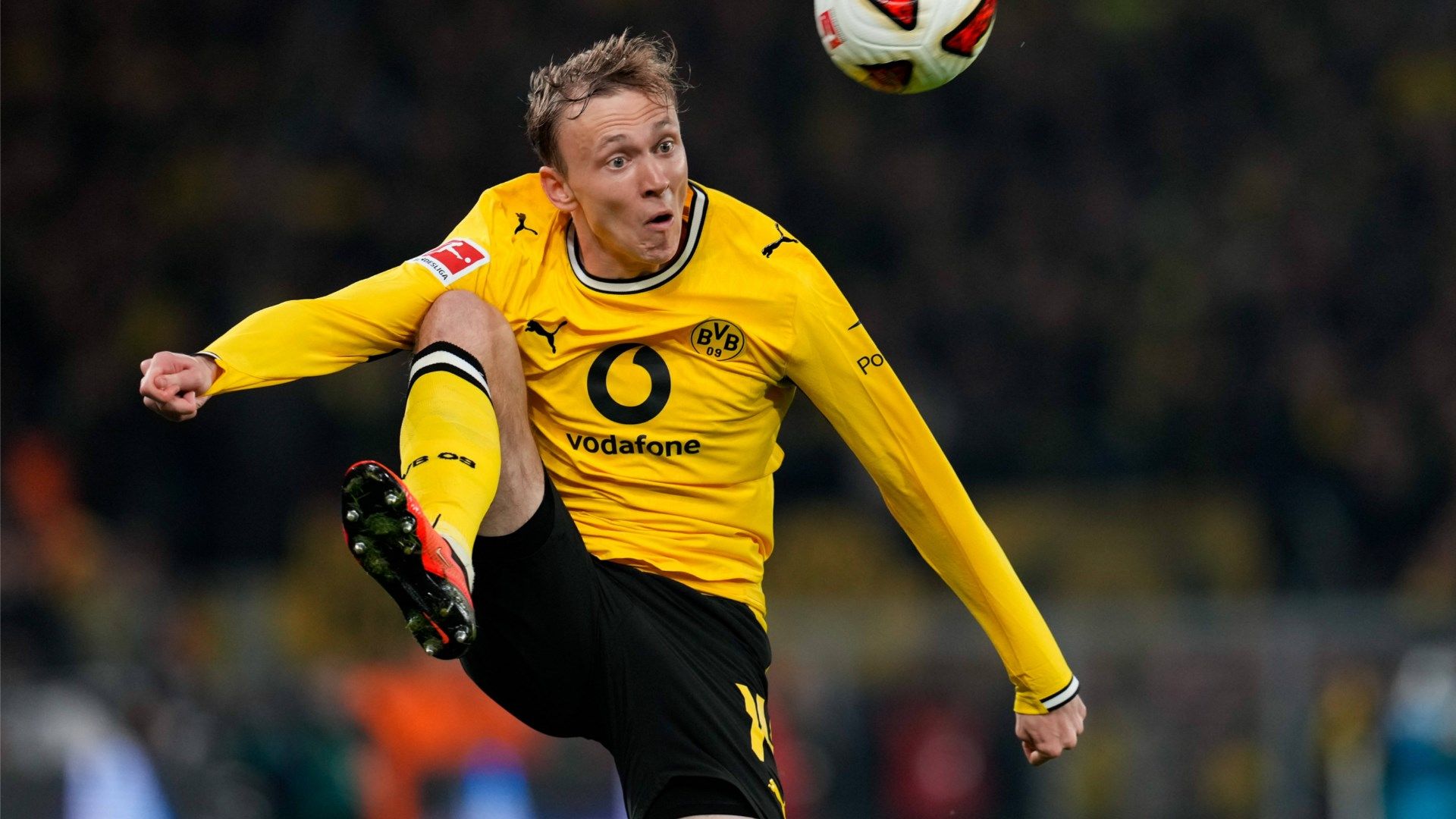 Beier BVB