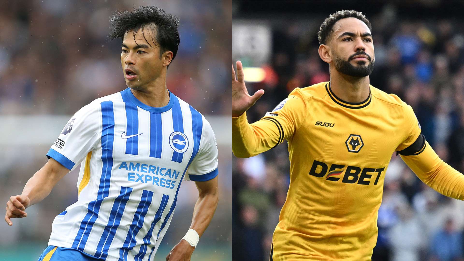 -brighton-wolves-20240919