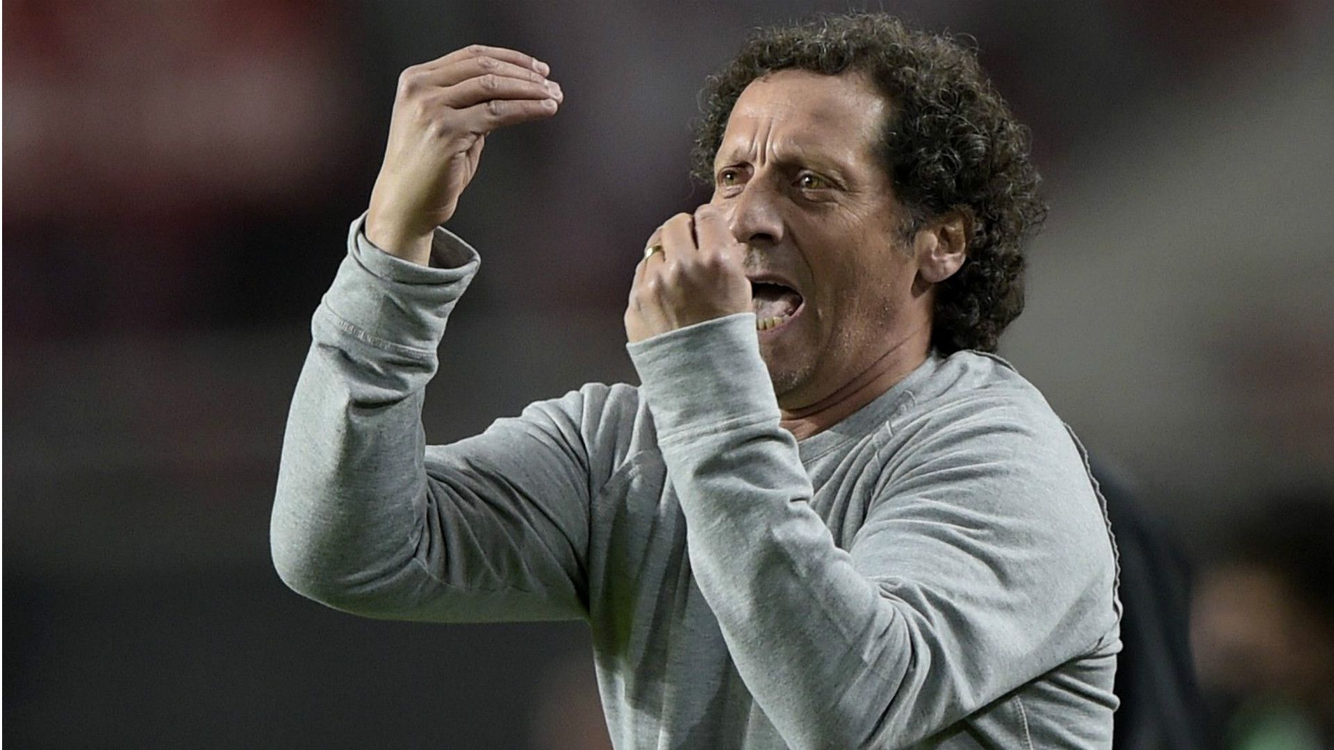 Pedro Troglio Estudiantes Gimnasia Copa Sudamericana 16092014