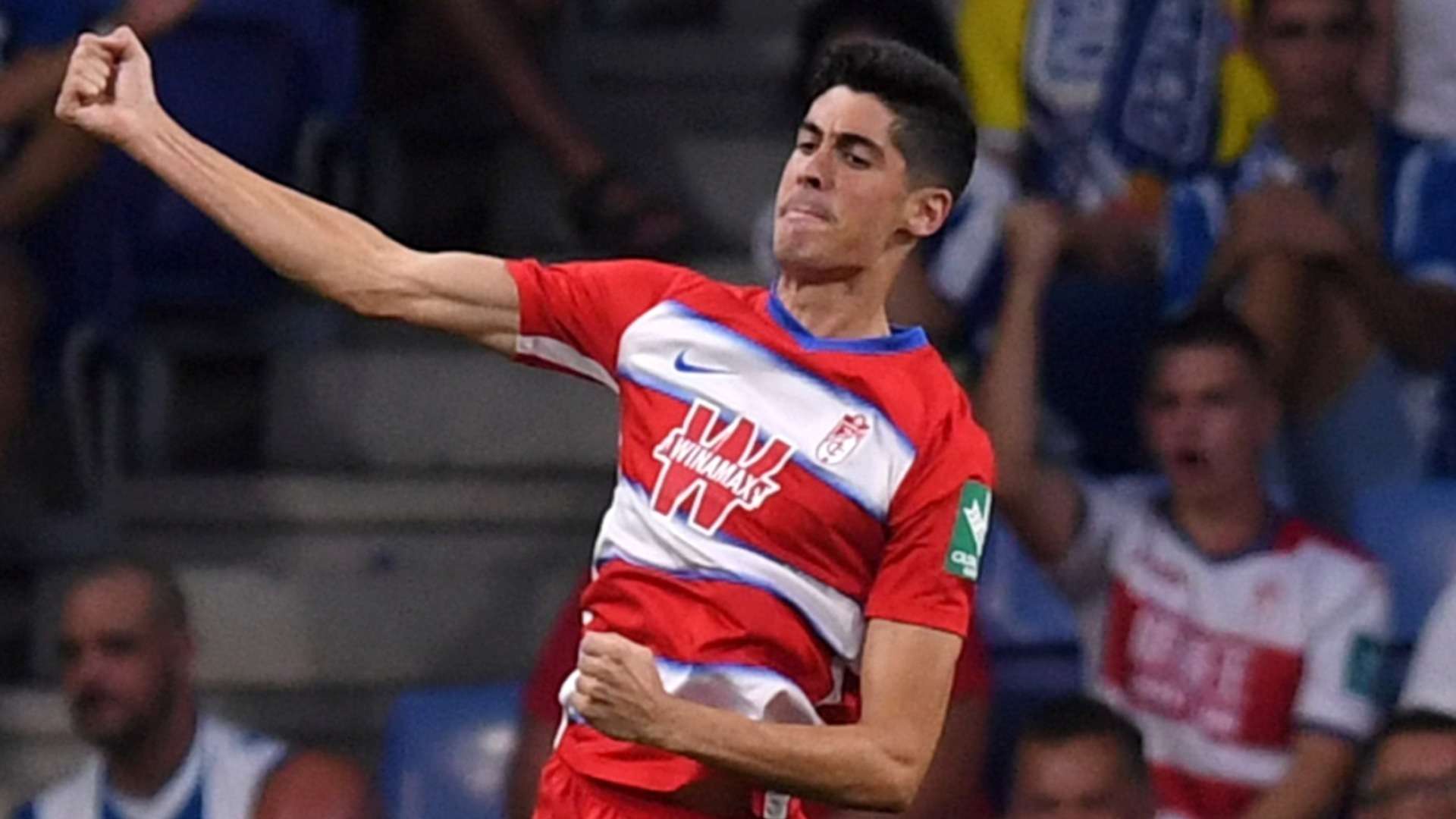 Carlos Fernandez | Granada