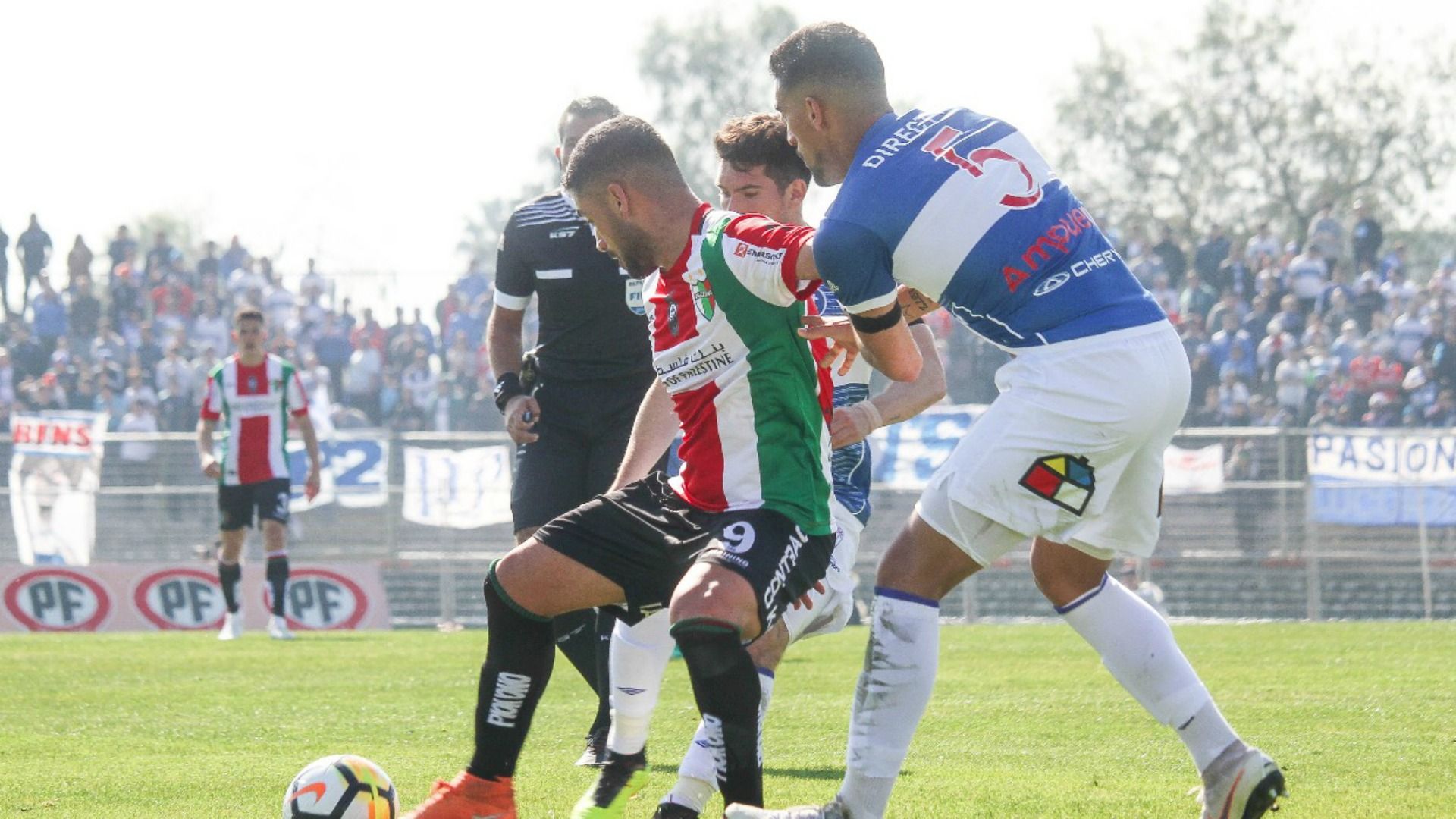 Universidad Católica - Palestino
