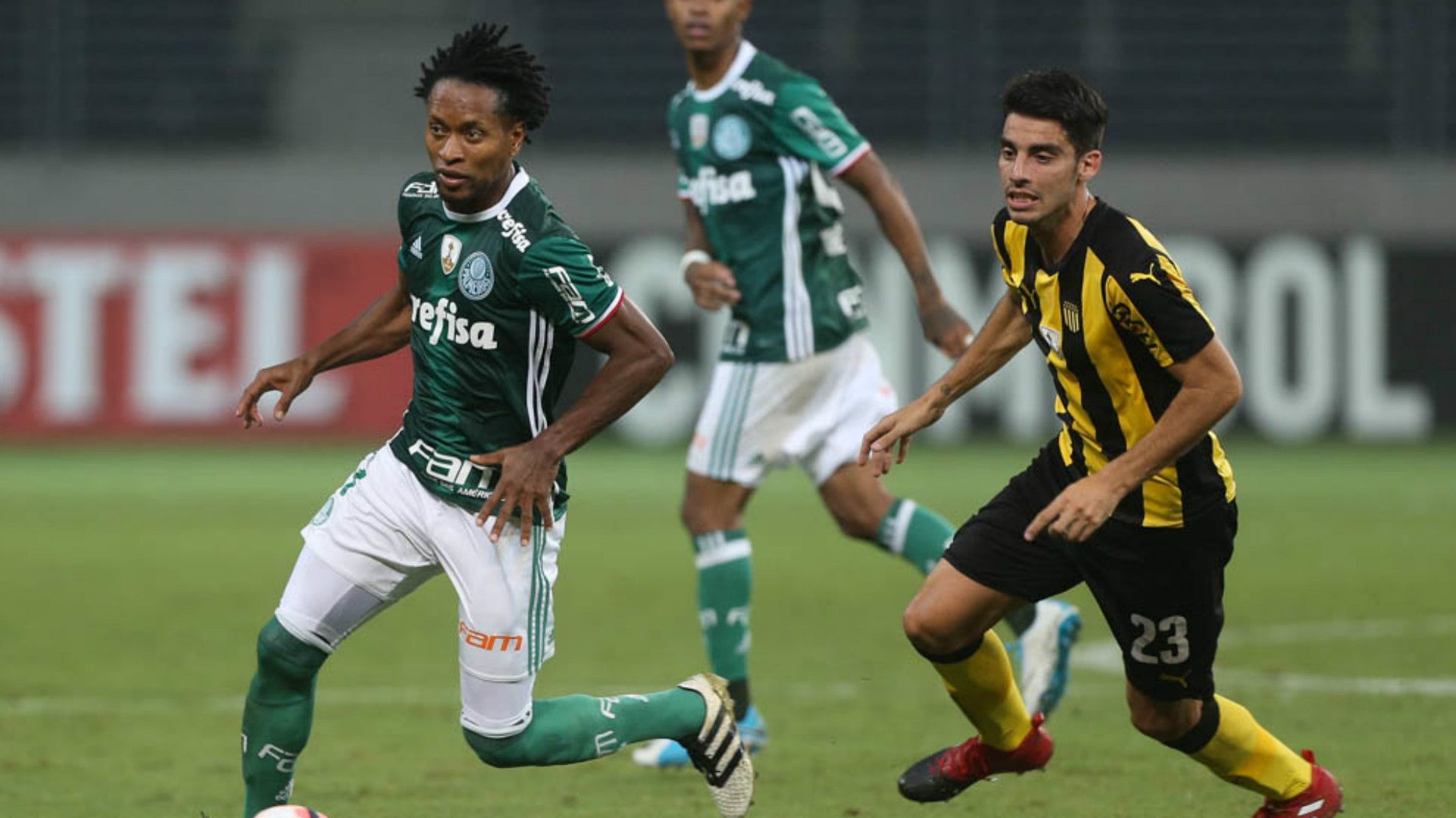 Zé Roberto - Palmeiras x Peñarol - 12/04/2017