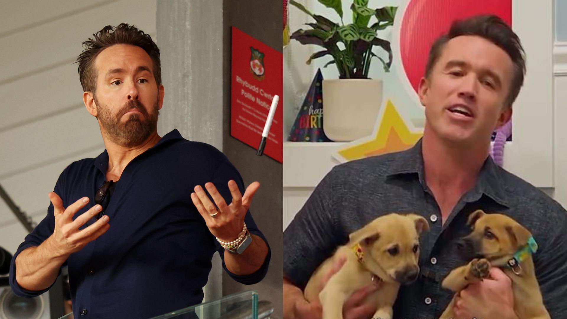 Ryan Reynolds Rob McElhenney