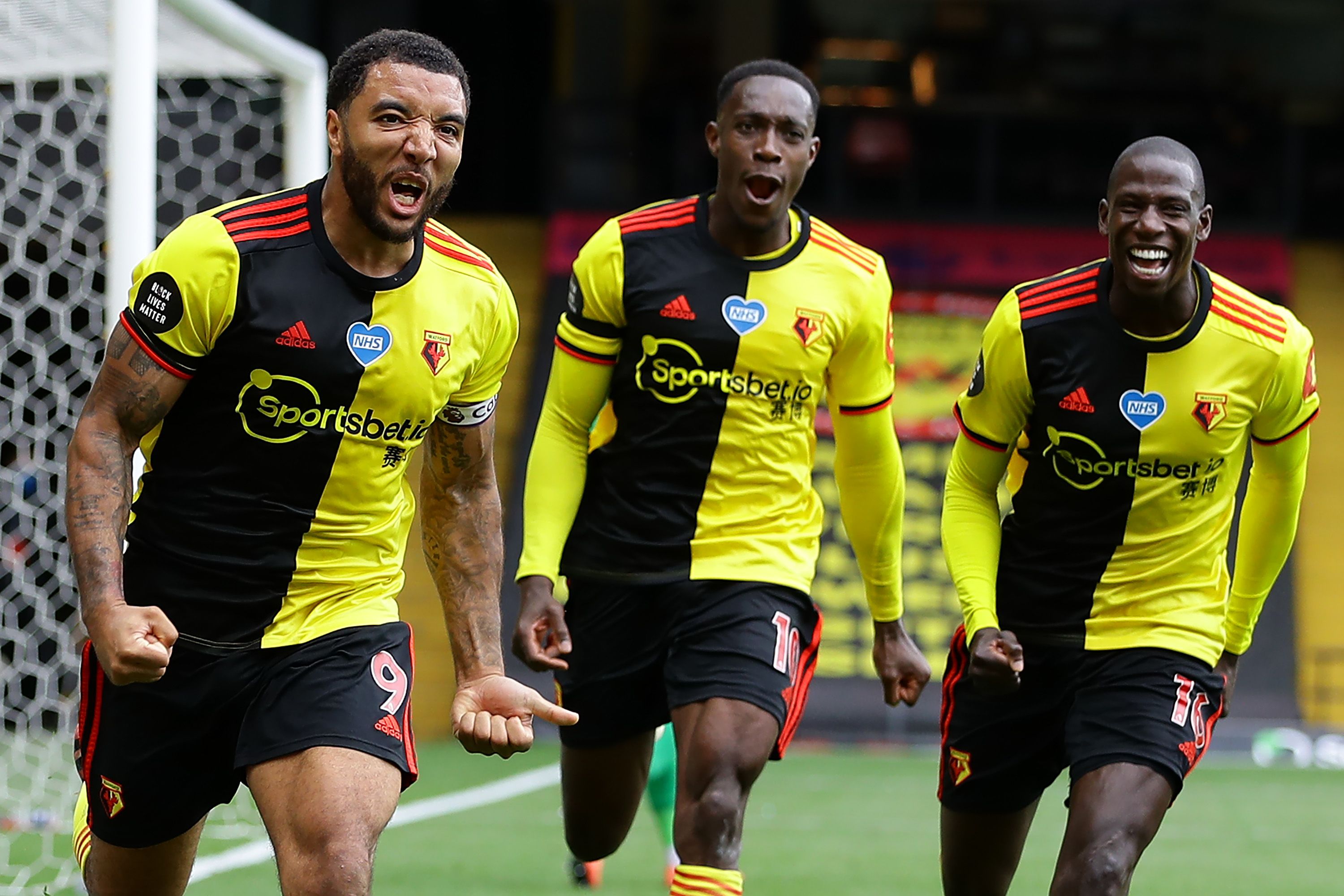 Watford celebration